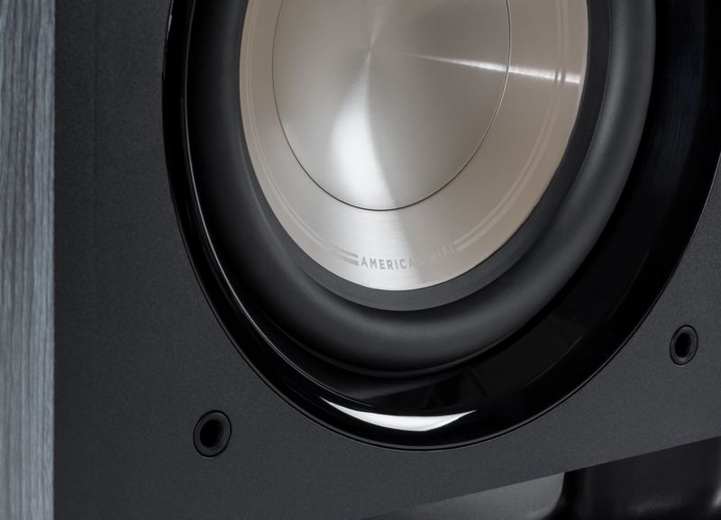 Polk HTS 10 Subwoofer 25,4cm (10") mit Power-Port schwarz