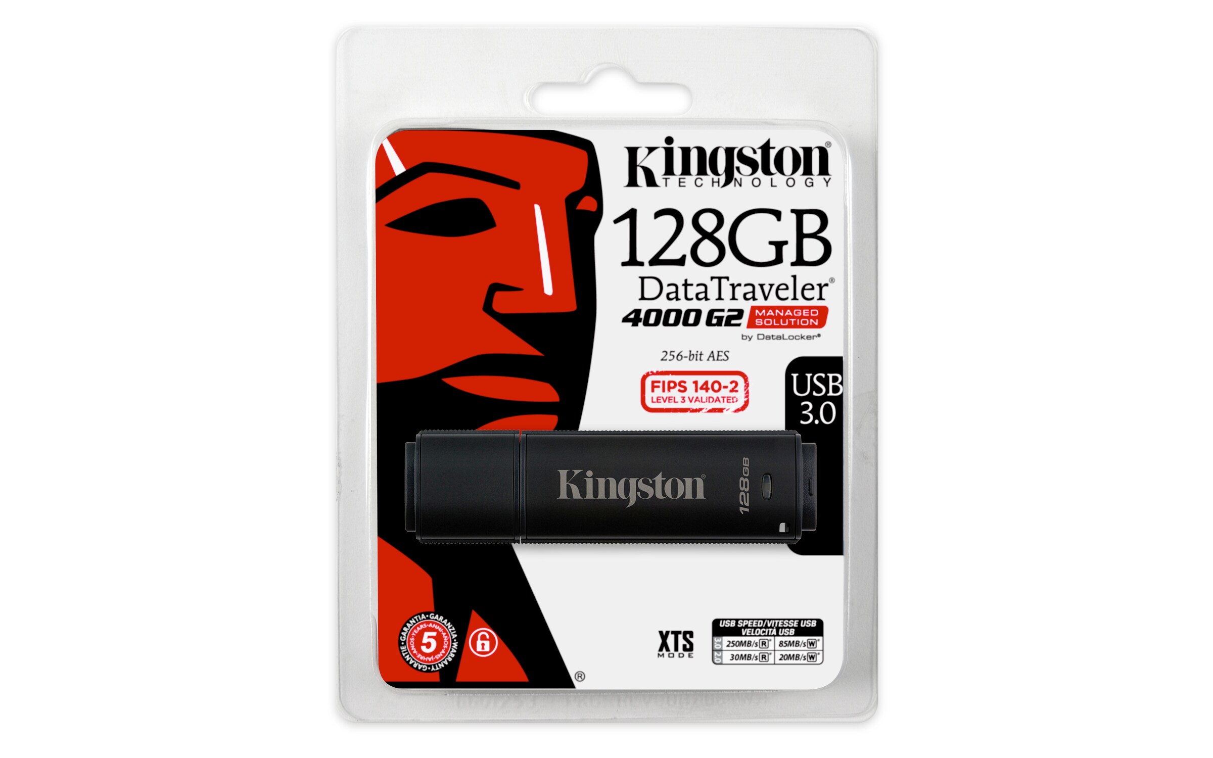 Kingston 128 GB DataTraveler 4000G2 Data Secure Stick mit Management USB3.0