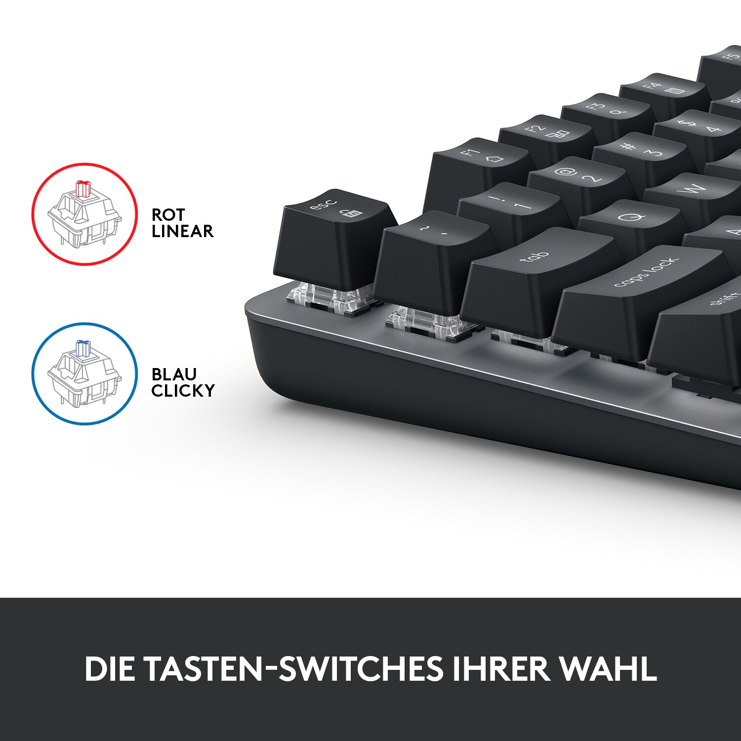 Logitech K835 TKL kabelgebundene mechanische Tastatur blue clicky