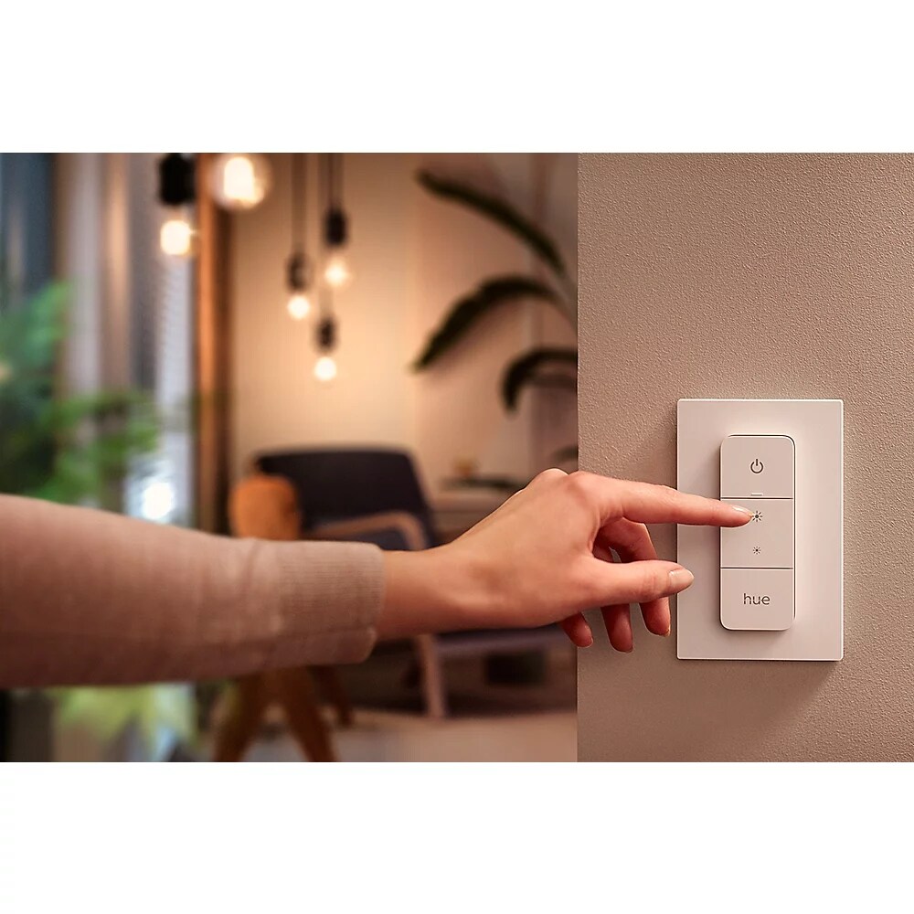 Philips Hue White &amp; Color Ambiance Ensis Pendelleuchte inkl. Dimmschalter V2