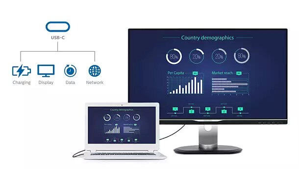 Philips 439P1/00 108cm (42,5") 4K UHD Monitor 16:9 HDMI/DP/USB-C HV