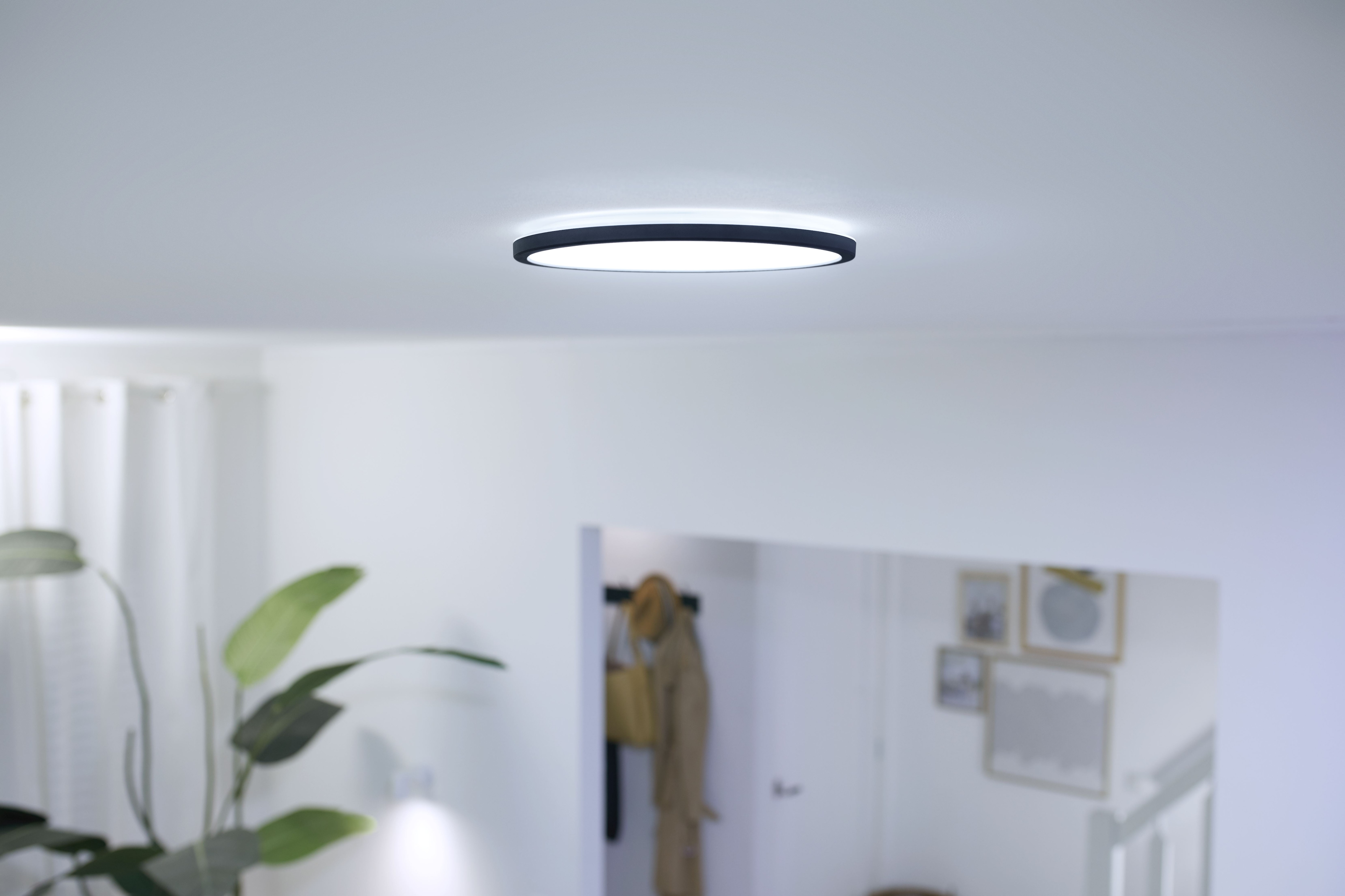 WiZ Super Slim Ceiling Deckenleuchte Tunable White 16W schwarz