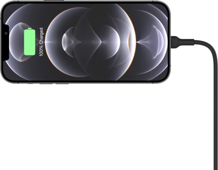 Belkin Magnetische Kfz-Halterung mit Ladegerät für iPhone 12/13 WIC004BTBK  ++ Cyberport