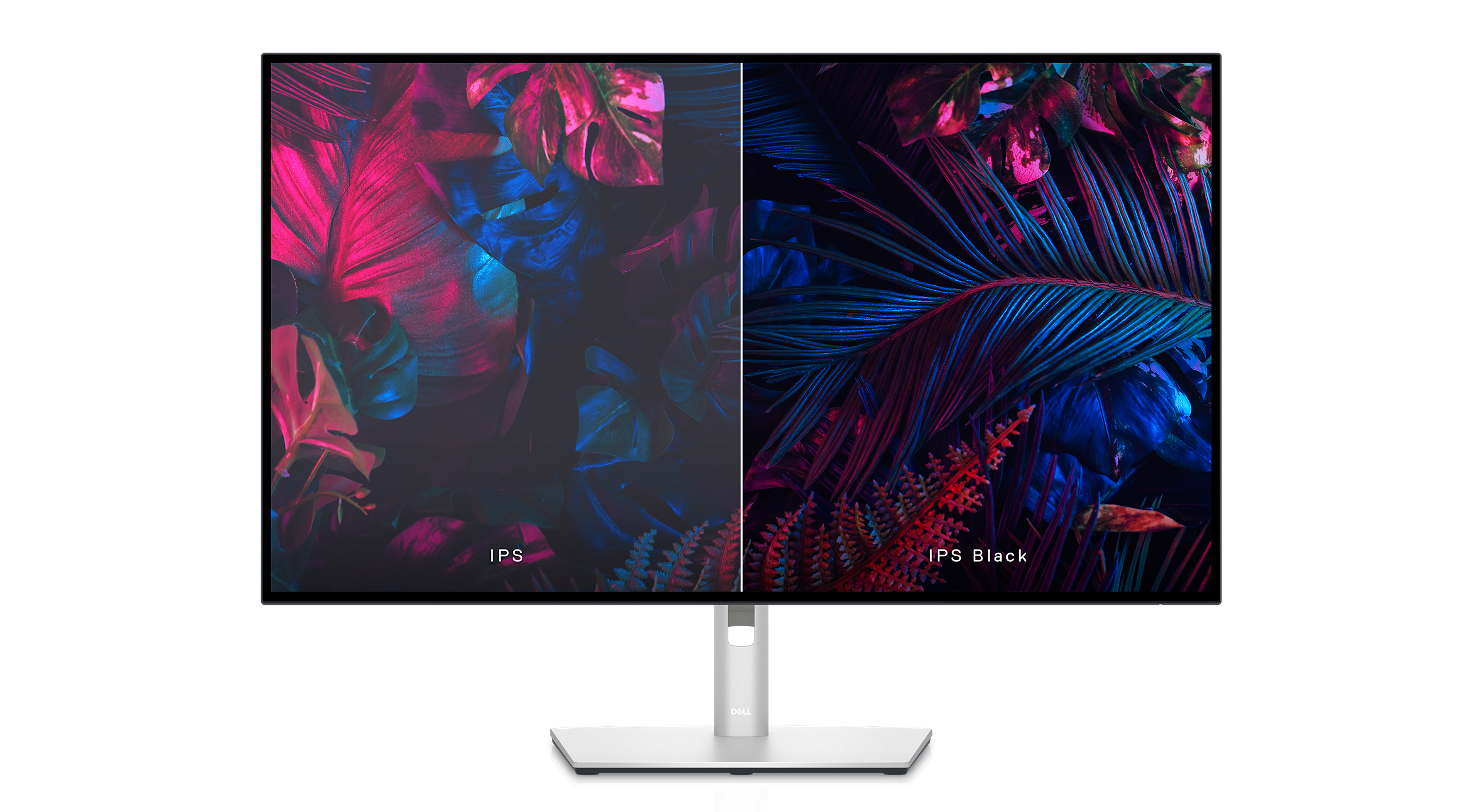 Dell UltraSharp U3223QE 81,28cm (32