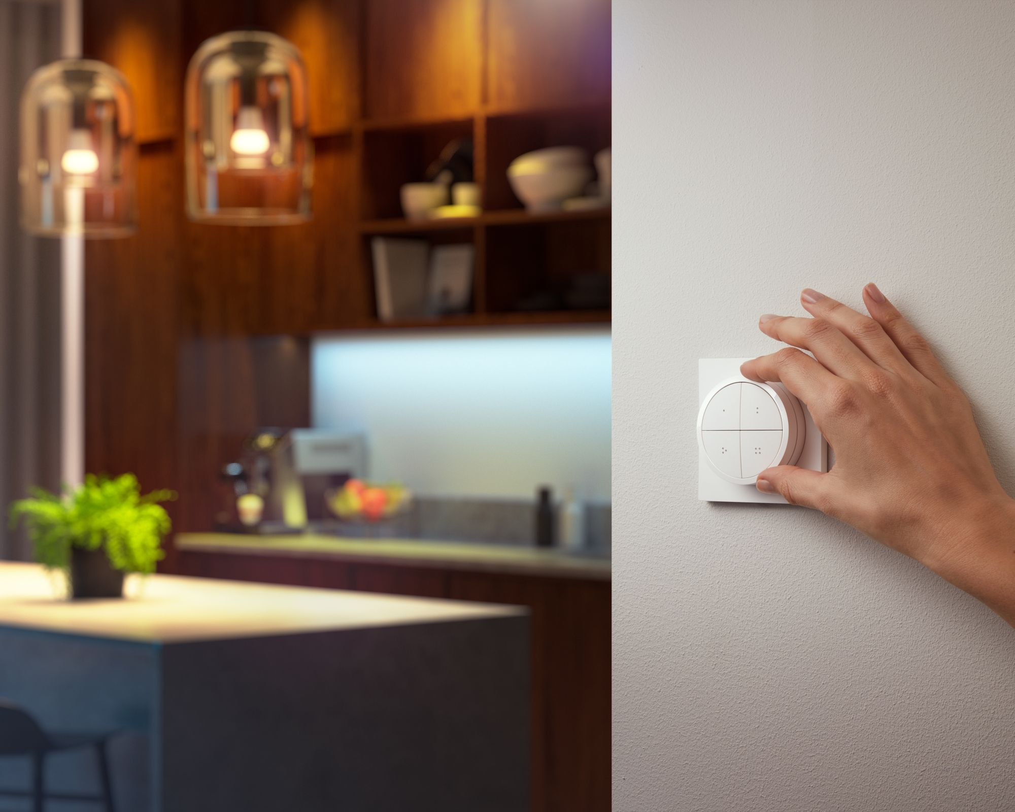 Philips Hue Tap Dial Schalter weiß 44099900