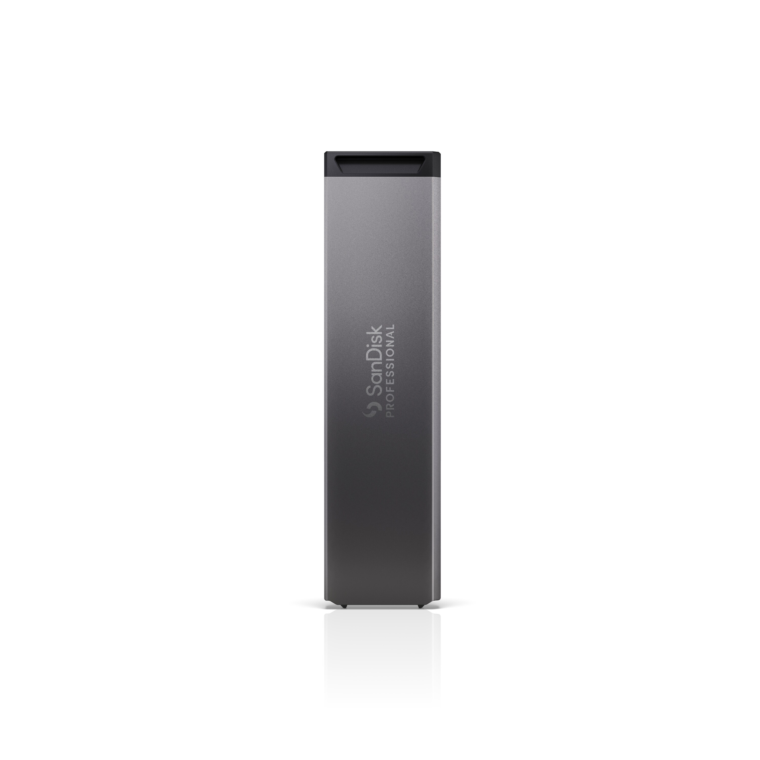 SanDisk Professional PRO-BLADE SSD 1 TB Mag Wechselgehäuse