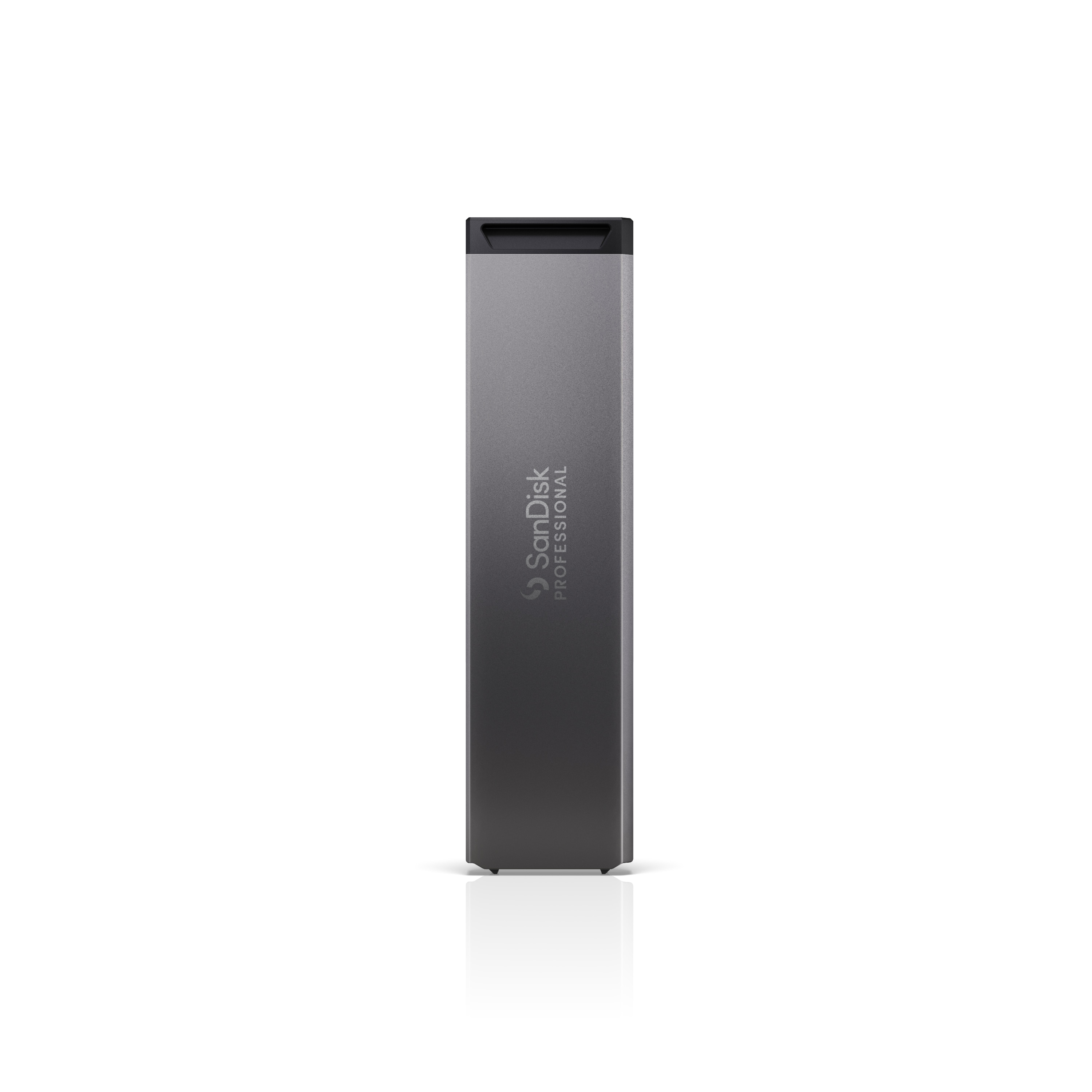 SanDisk Professional PRO-BLADE SSD 1 TB Mag Wechselgehäuse