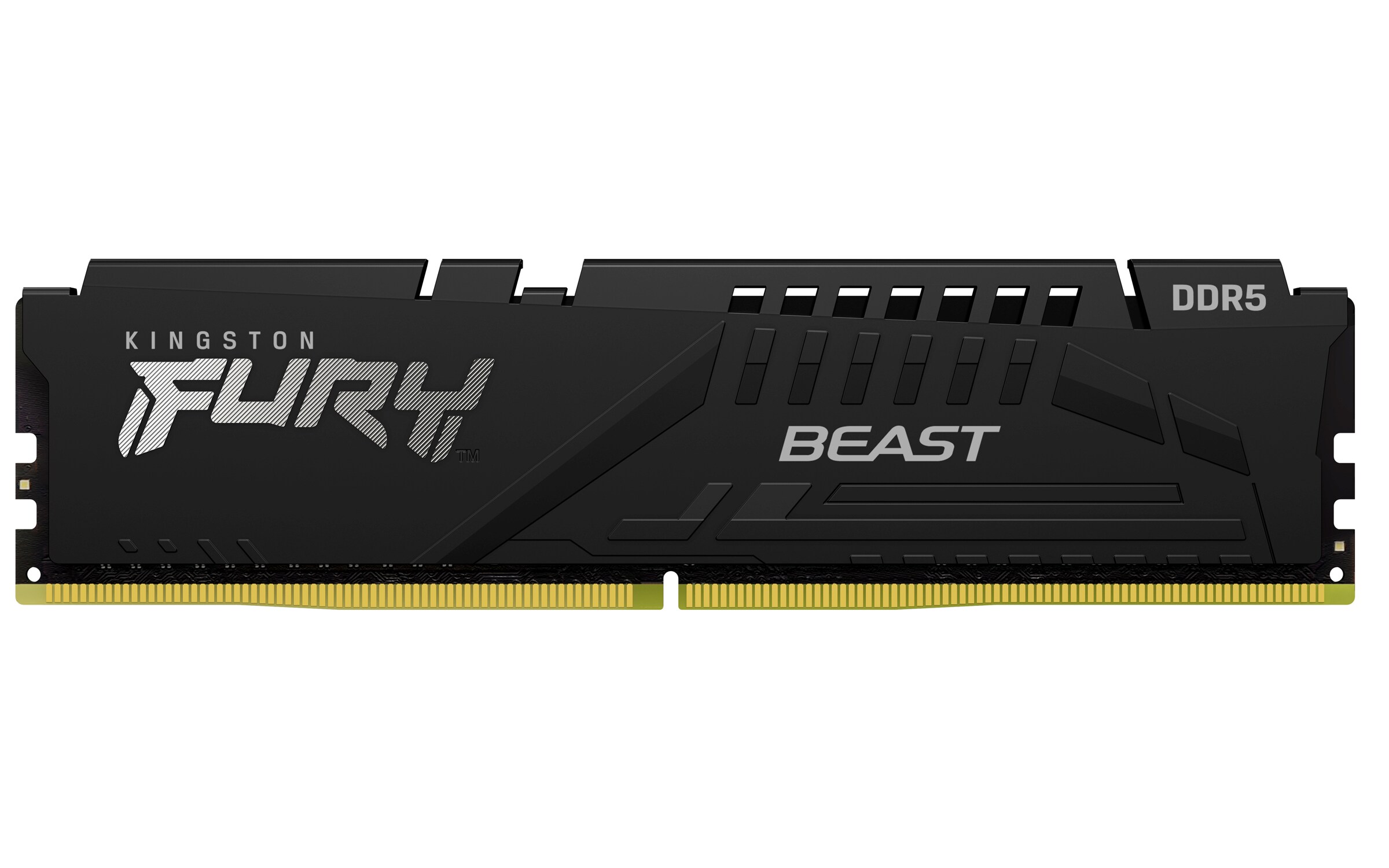 16GB (1x16GB) KINGSTON FURY Beast DDR5-4800 CL38 RAM Gaming Arbeitsspeicher