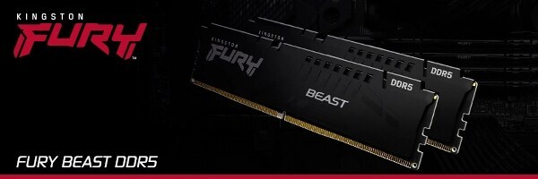 16GB (1x16GB) KINGSTON FURY Beast DDR5-4800 CL38 RAM Gaming Arbeitsspeicher