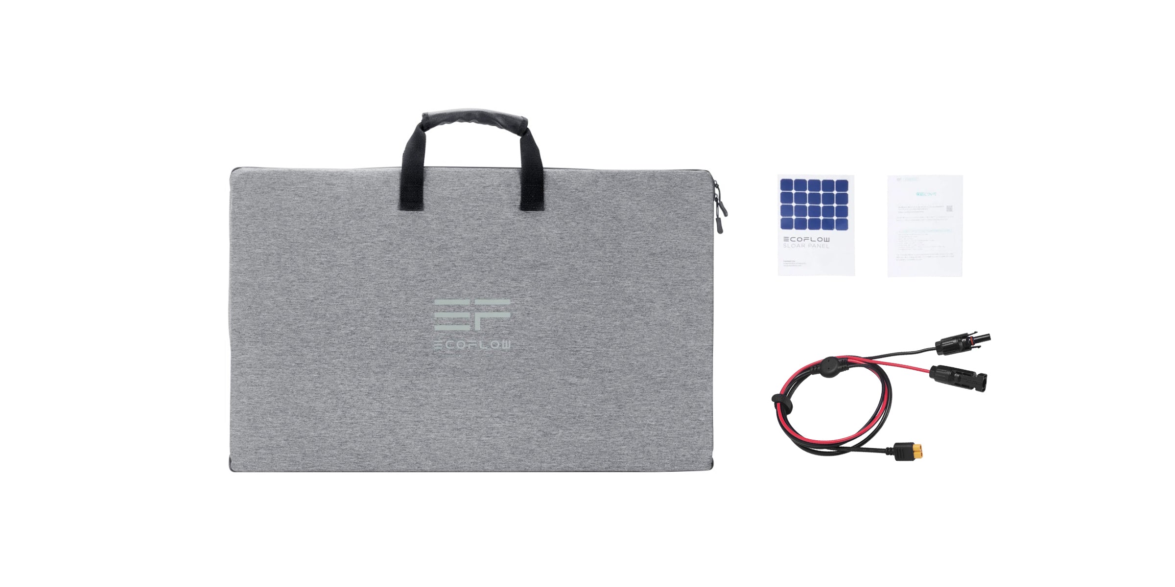 EcoFlow 160W tragbares Solar Panel IP68 mit Tasche