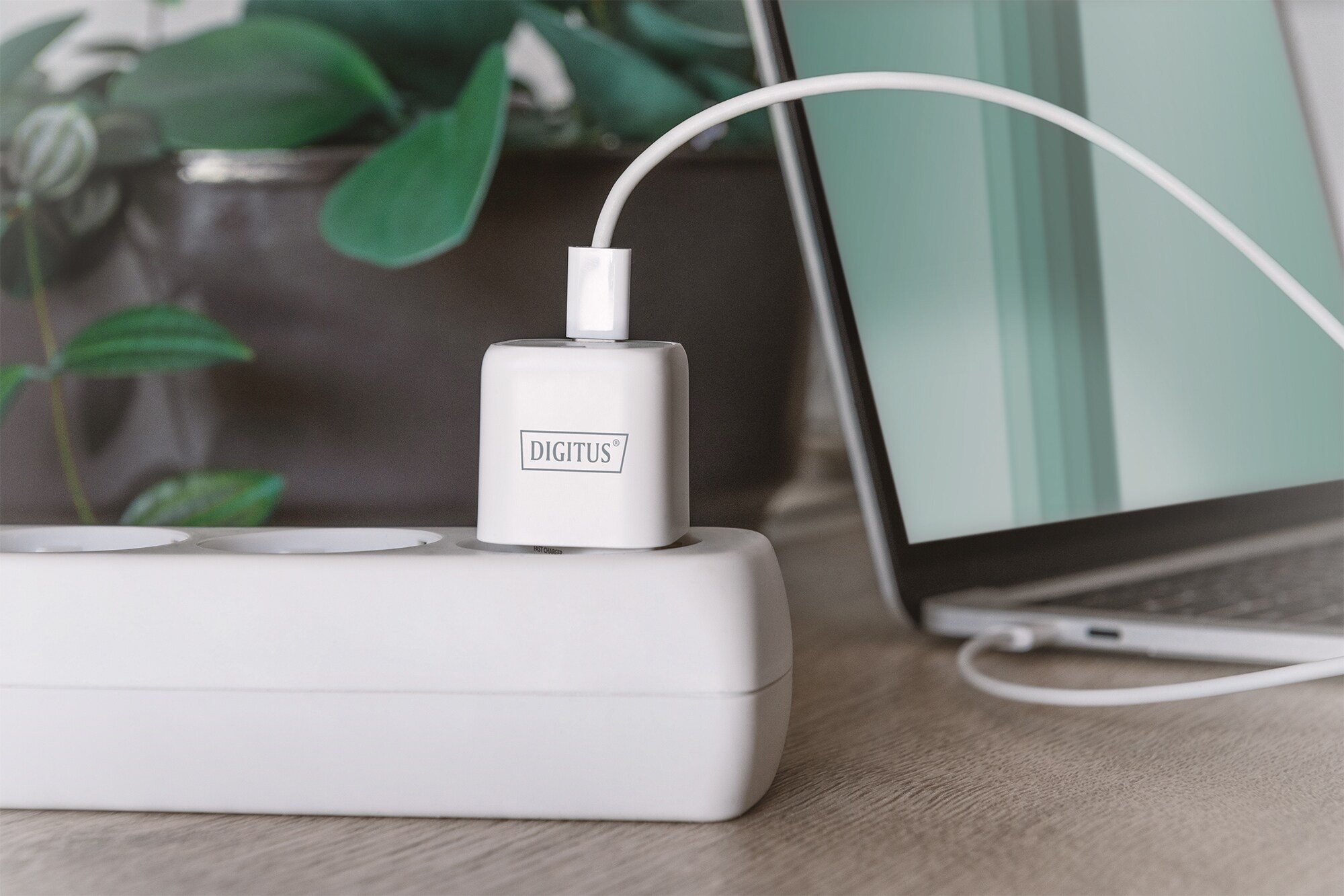 DIGITUS USB-C™ Mini Ladeadapter, 20W