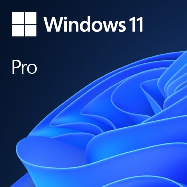 Microsoft Windows 11 Pro | OEM | DVD &amp; Produktschlüssel