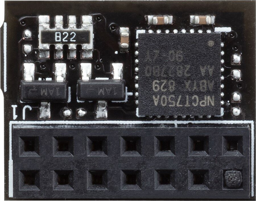 ASUS TPM-SPI Modul