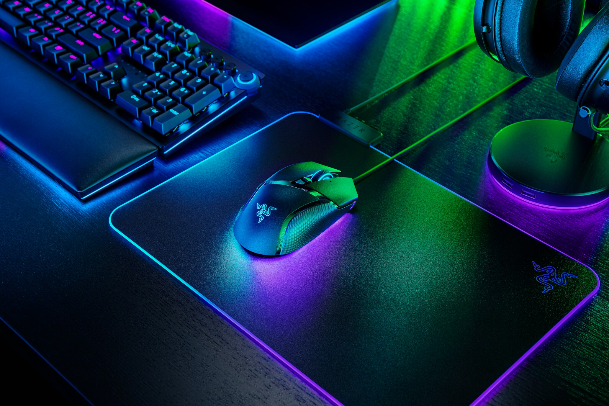 RAZER Basilisk V3 Kabelgebundene Gaming Maus