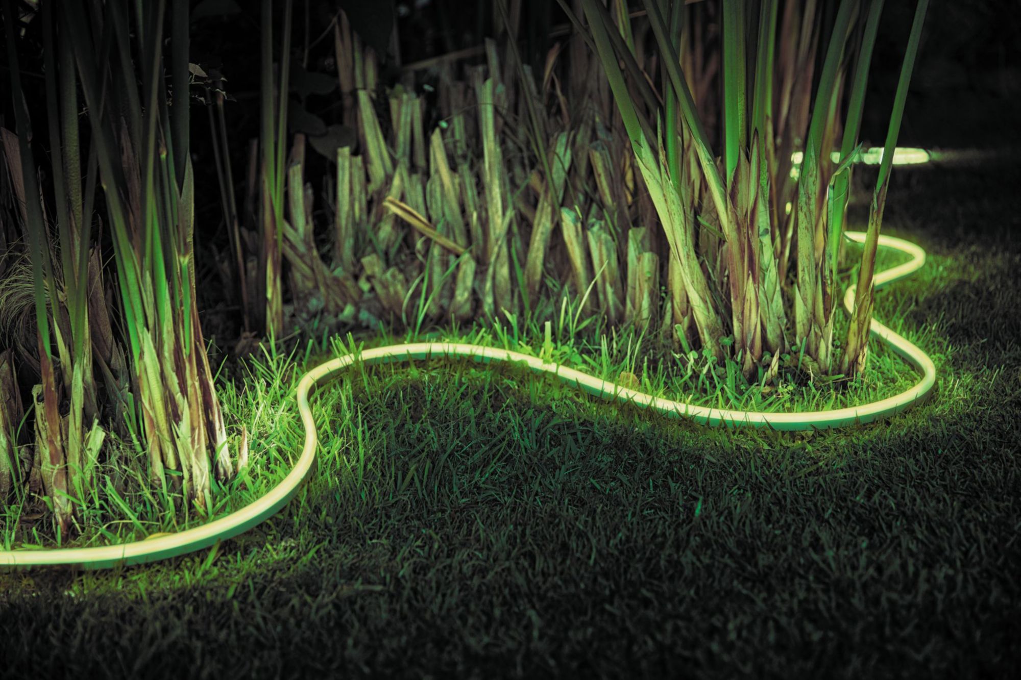 Philips Hue Lightstrip Outdoor 5m White &amp; Col. Amb. 1600lm Bluetooth