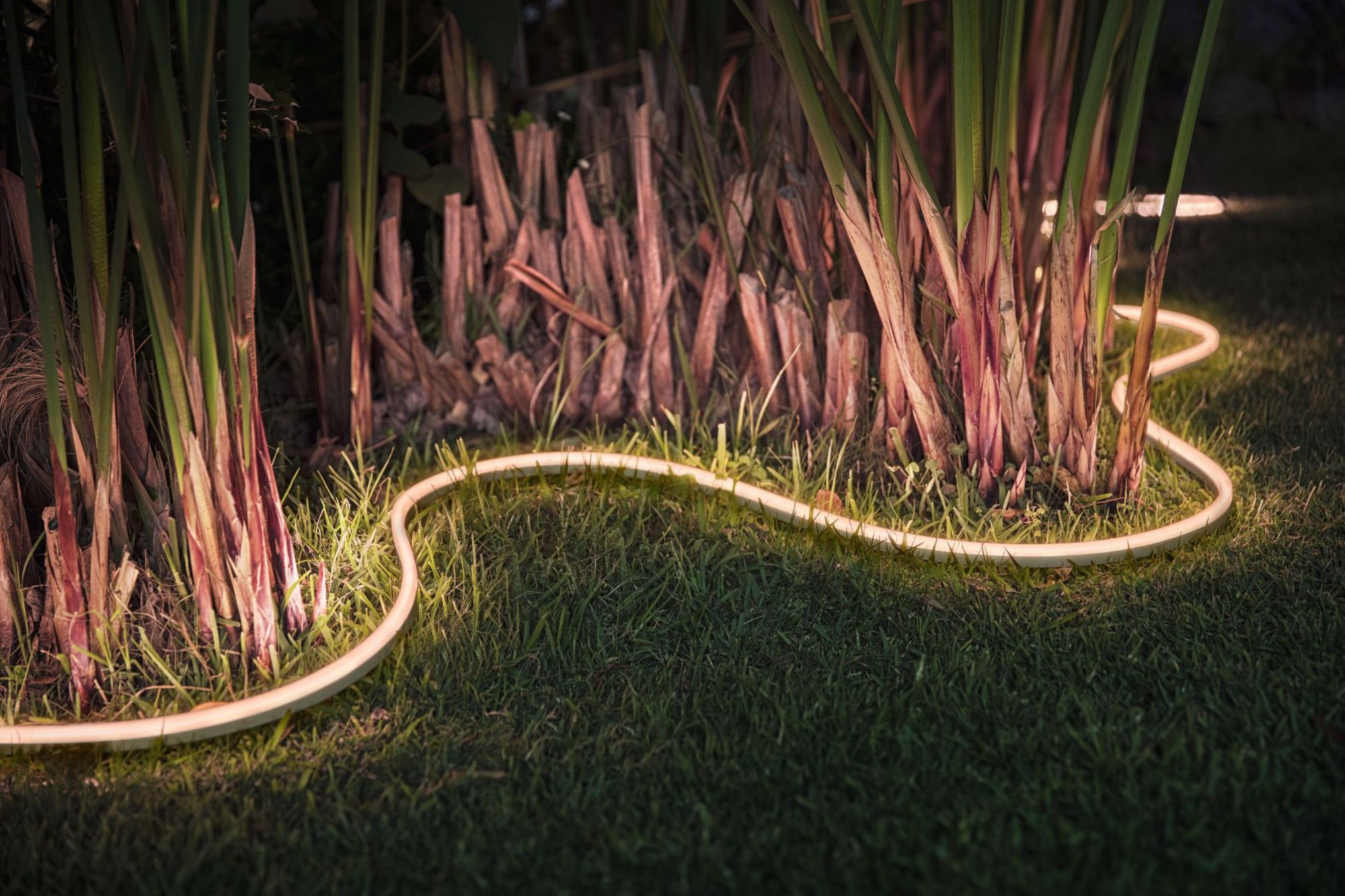 Philips Hue Lightstrip Outdoor 5m White &amp; Col. Amb. 1600lm Bluetooth