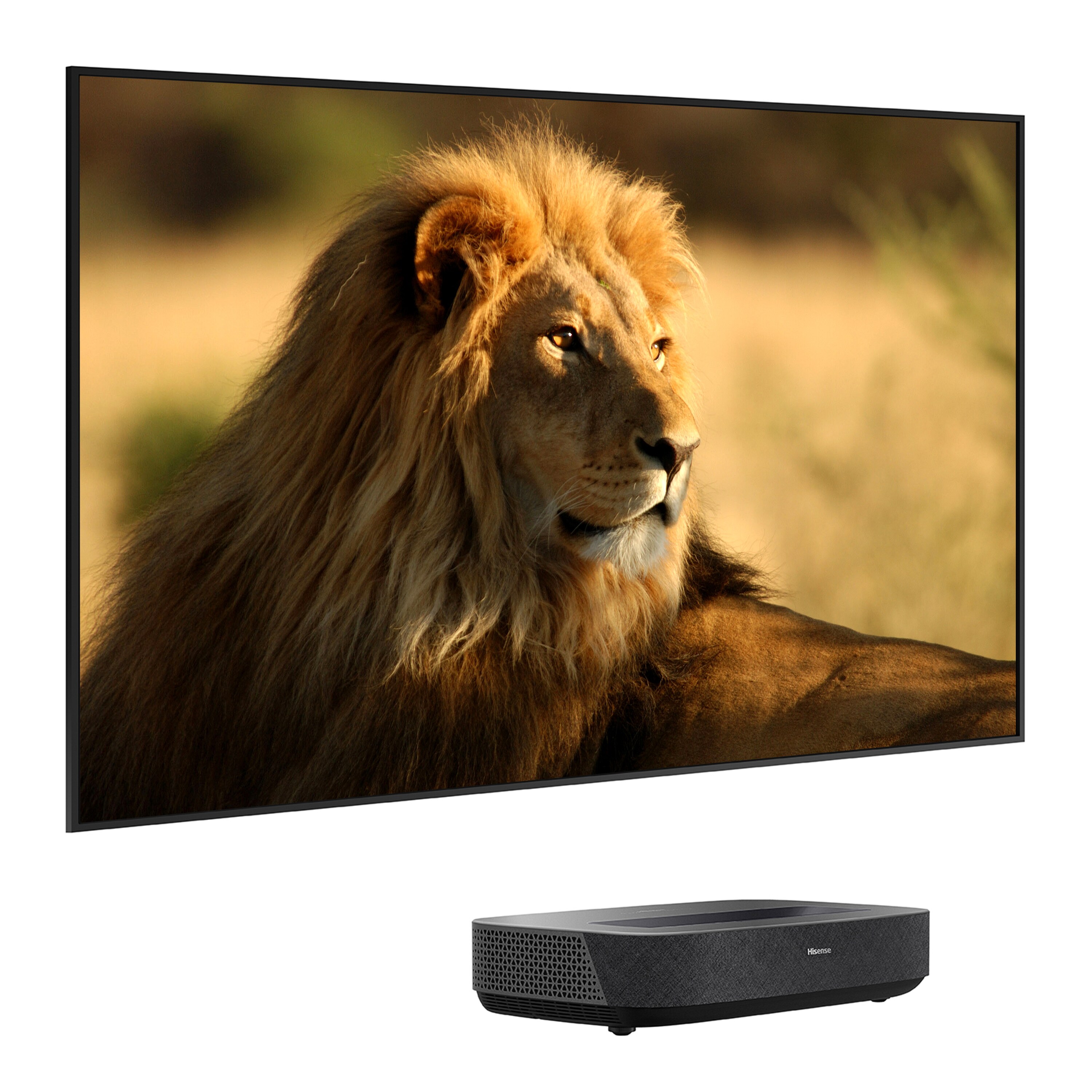 Hisense Laser TV 90L5HD 4K inkl. Daylight Screen