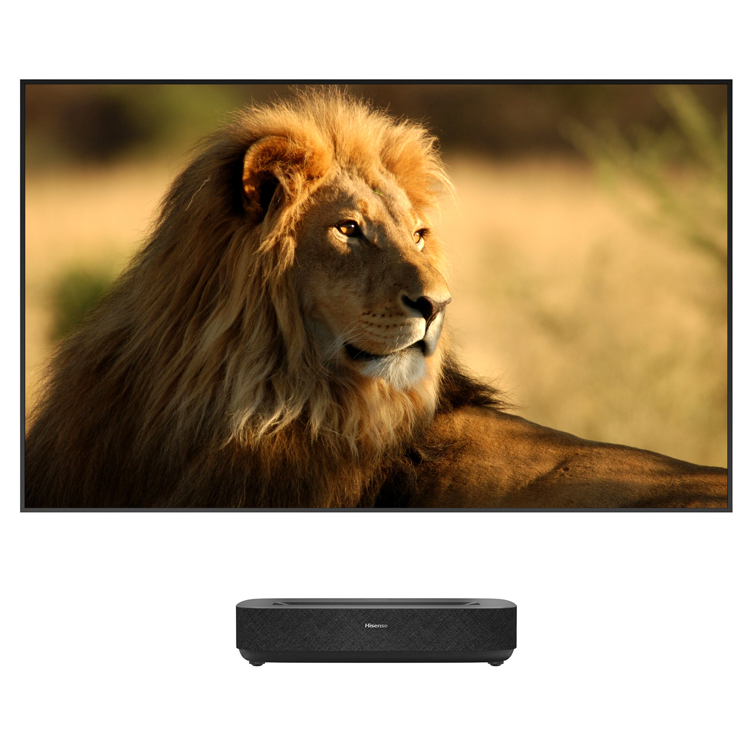 Hisense Laser TV 90L5HD 4K inkl. Daylight Screen