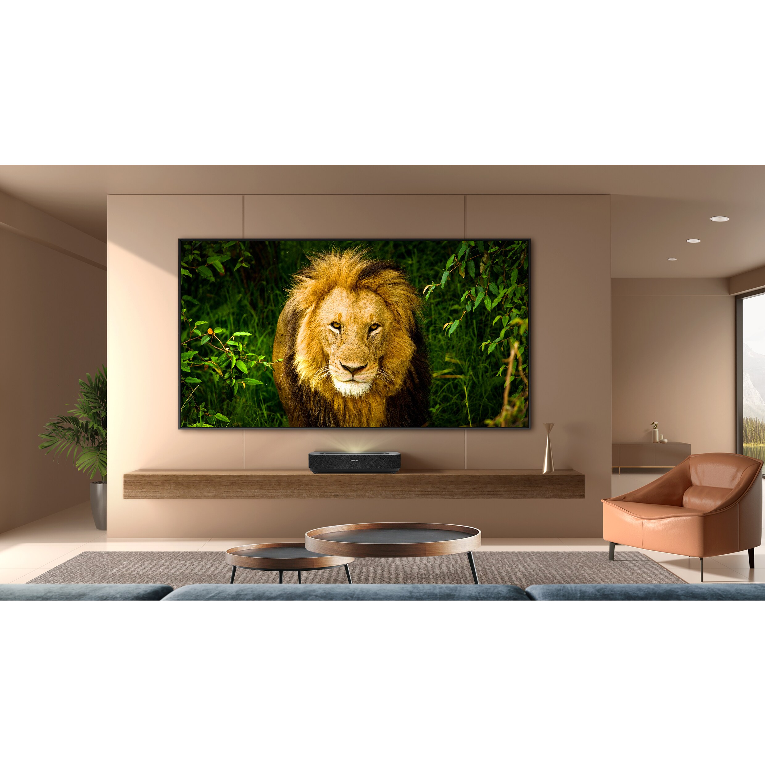 Hisense Laser TV 90L5HD 4K inkl. Daylight Screen