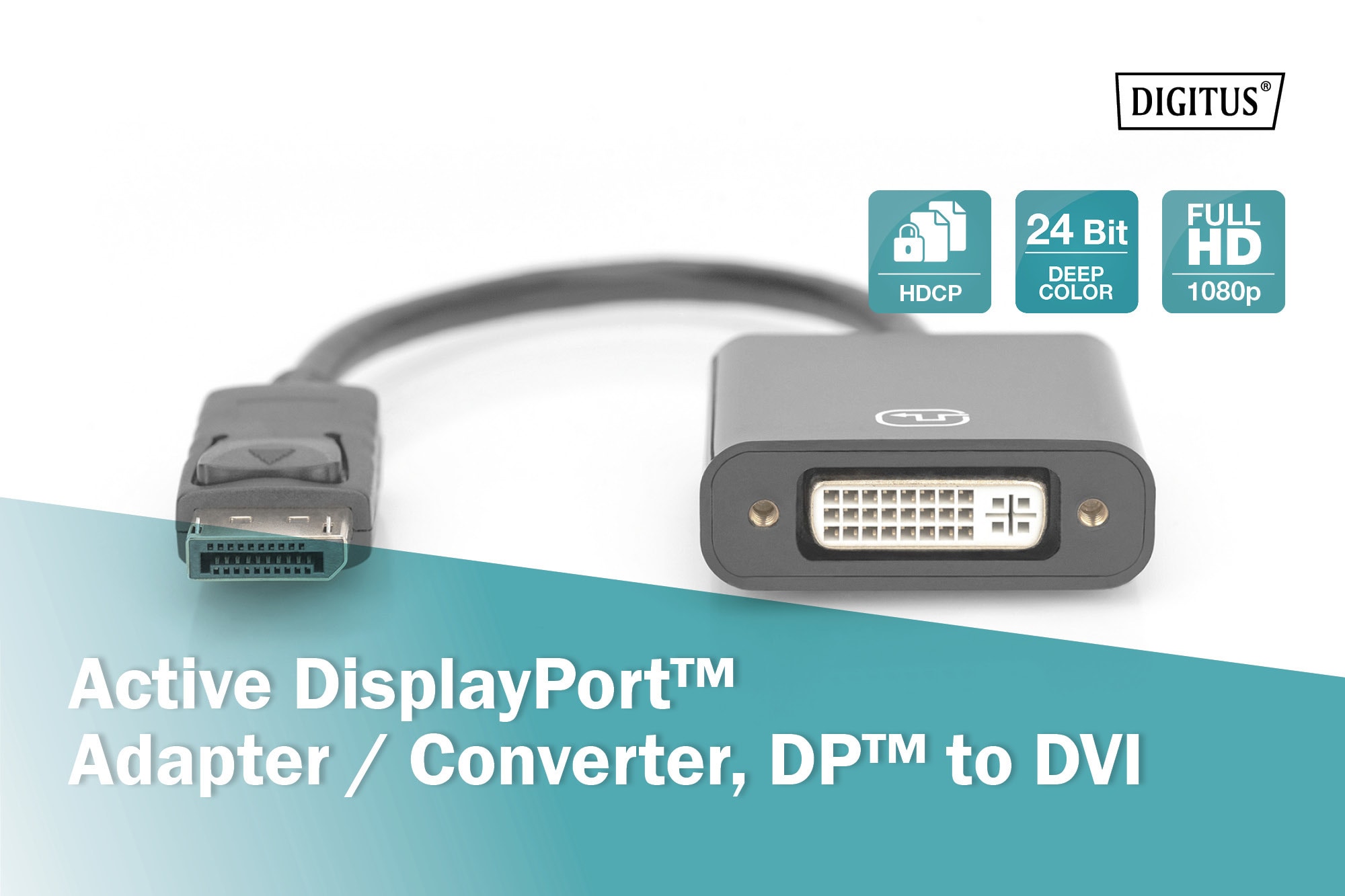 DIGITUS Aktiver DisplayPort Adapter DP auf DVI M/F, 0,15m