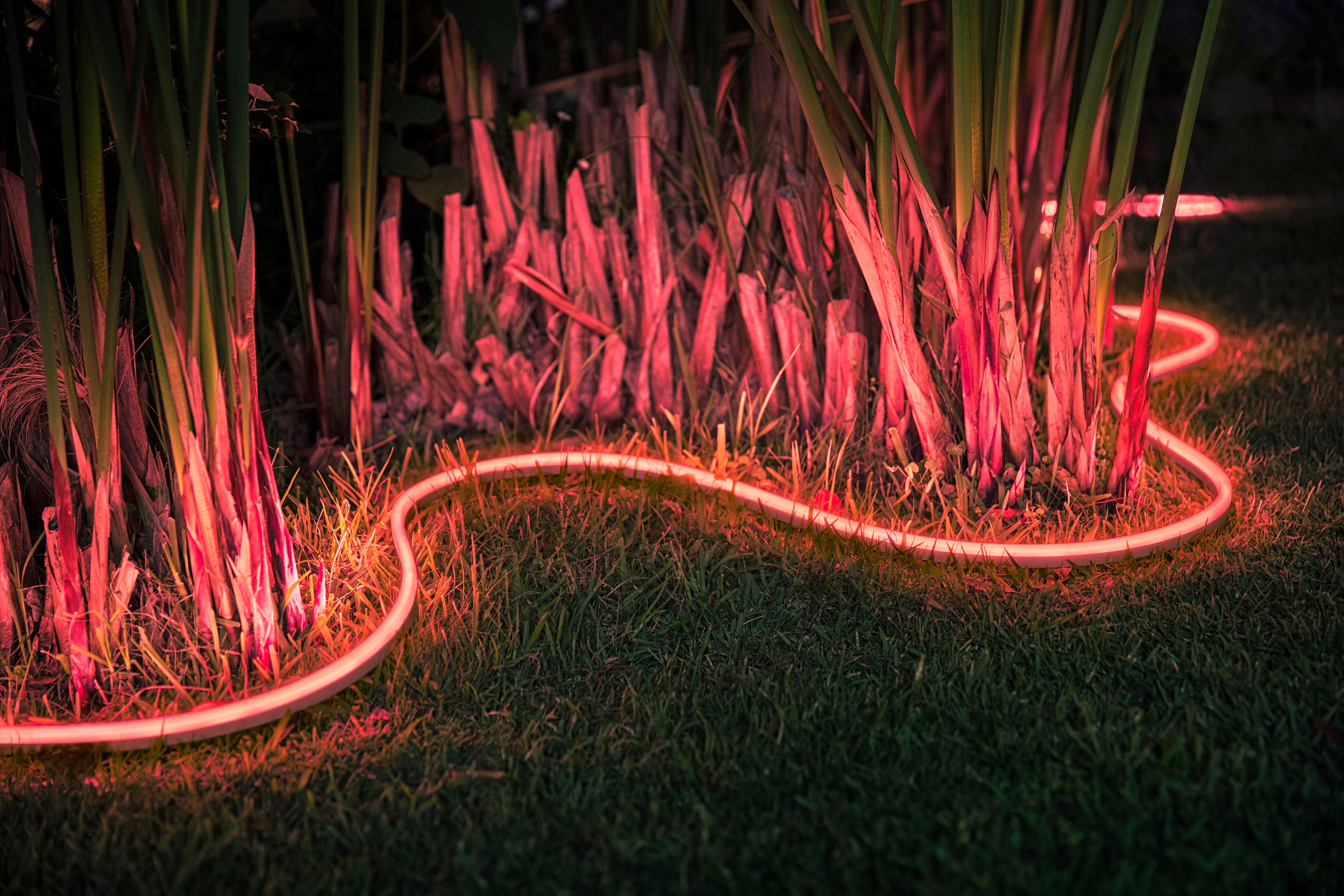 Philips Hue Lightstrip Outdoor 5m White &amp; Col. Amb. 1600lm Bluetooth