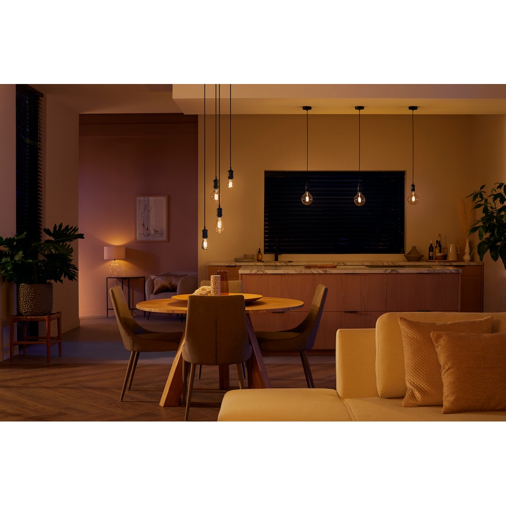 Philips Hue White Ambiance E27 Einzelpack Filament 550lm