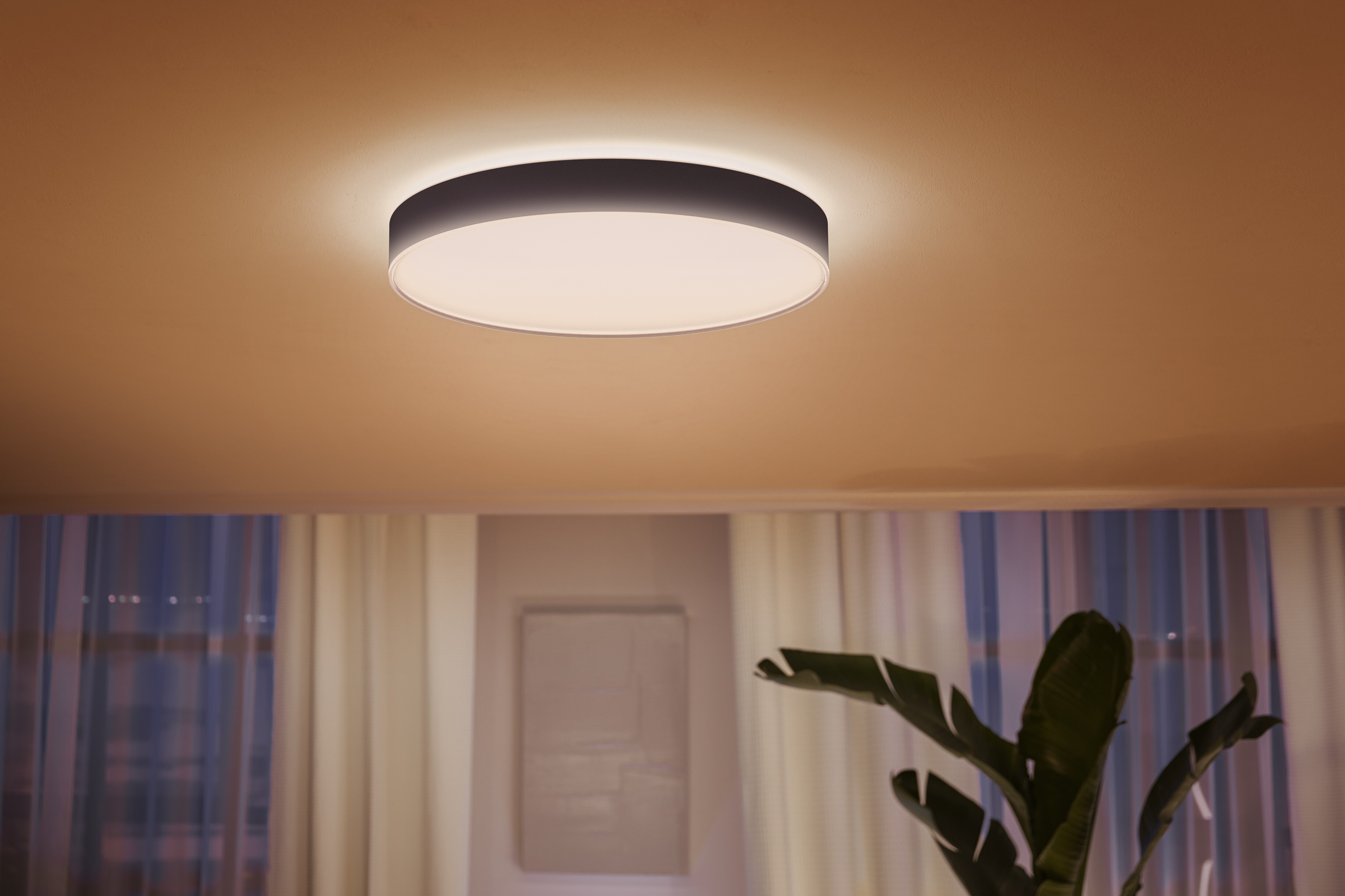 Philips Hue White Ambiance Enrave Deckenleuchte XL sw 6500lm inkl. Dimmschalter