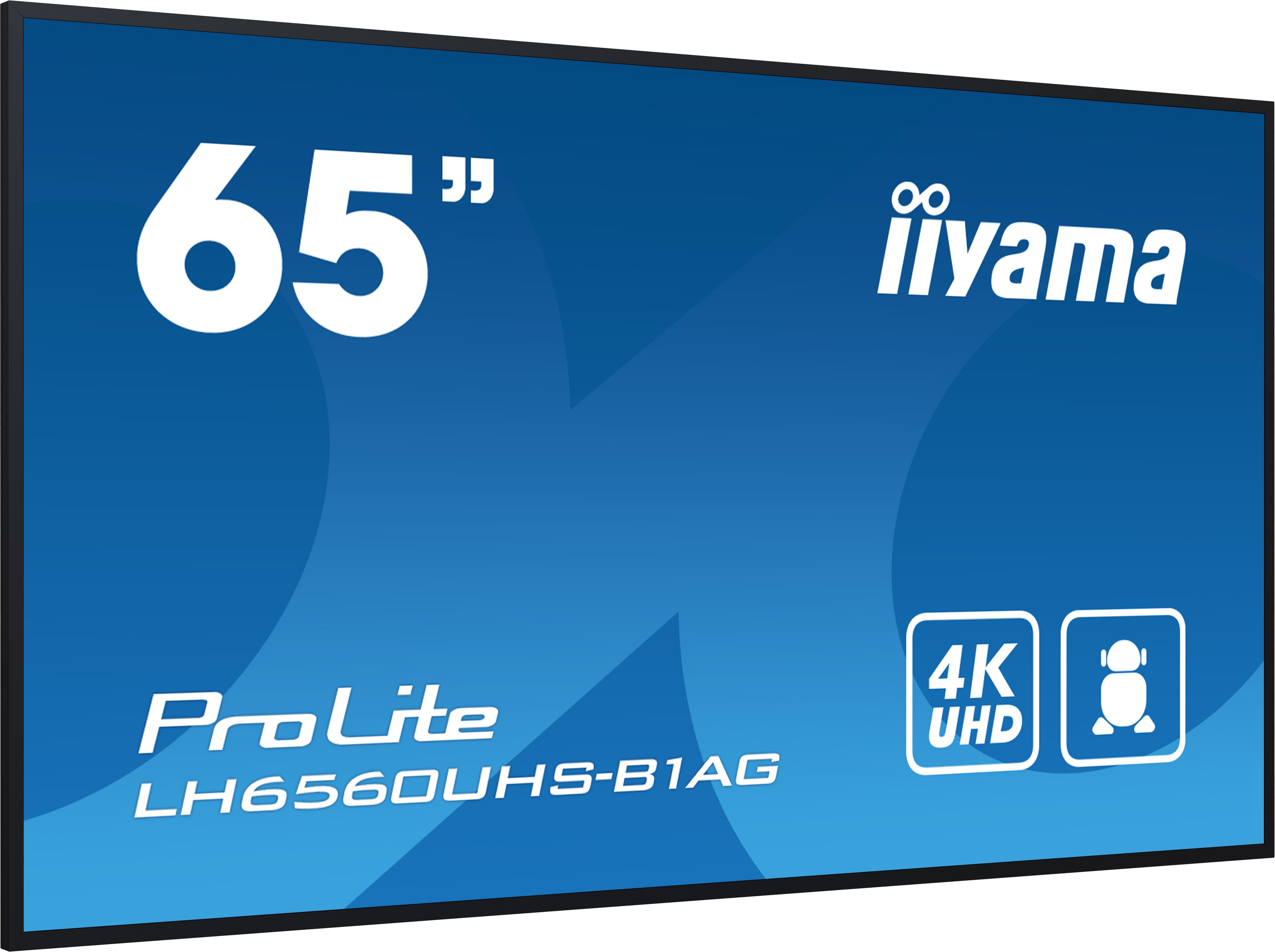 iiyama ProLite LH6560UHS-B1AG 163,9cm (64.5") 4K UHD Monitor HDMI/VGA/USB/LAN