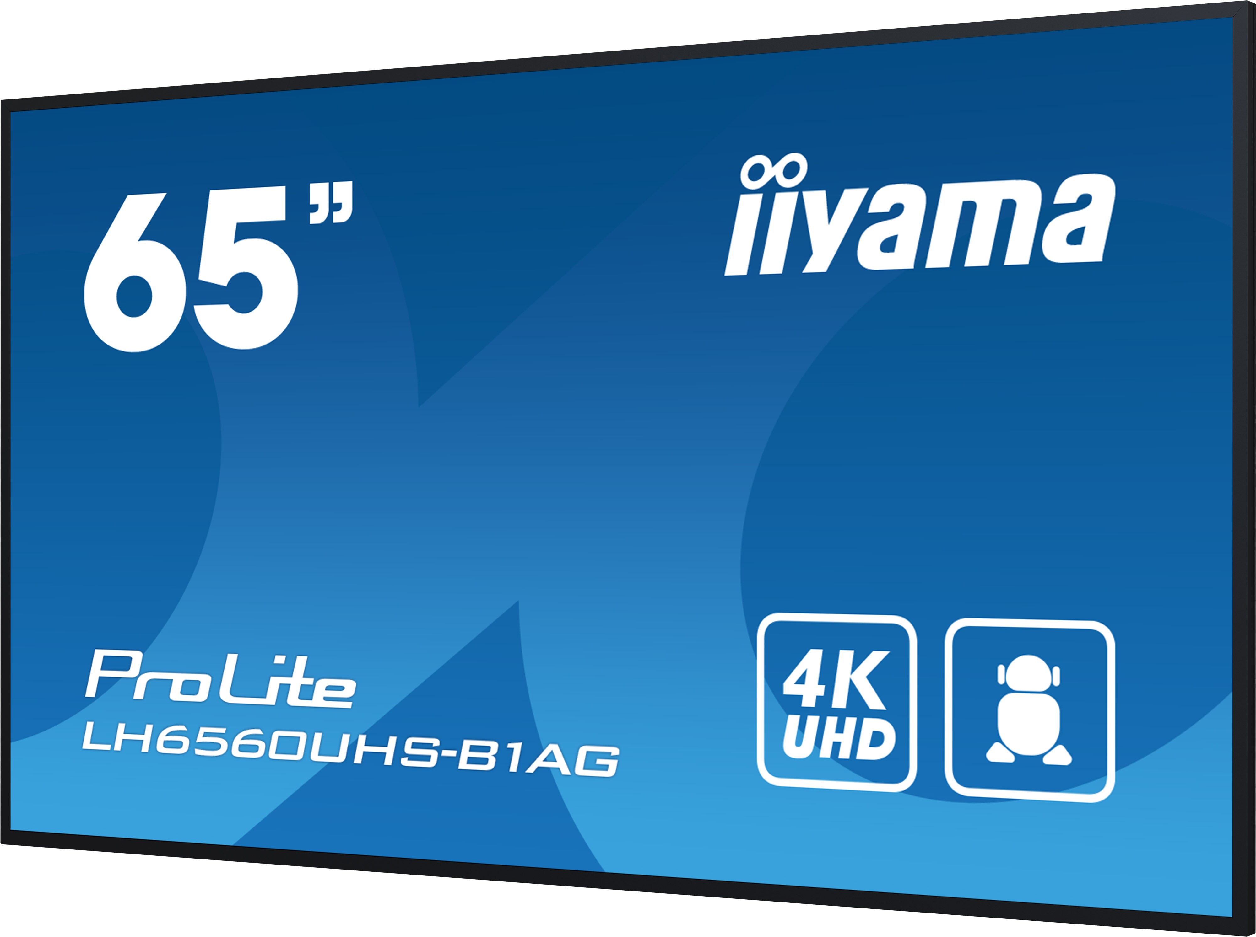 iiyama ProLite LH6560UHS-B1AG 163,9cm (64.5") 4K UHD Monitor HDMI/VGA/USB/LAN