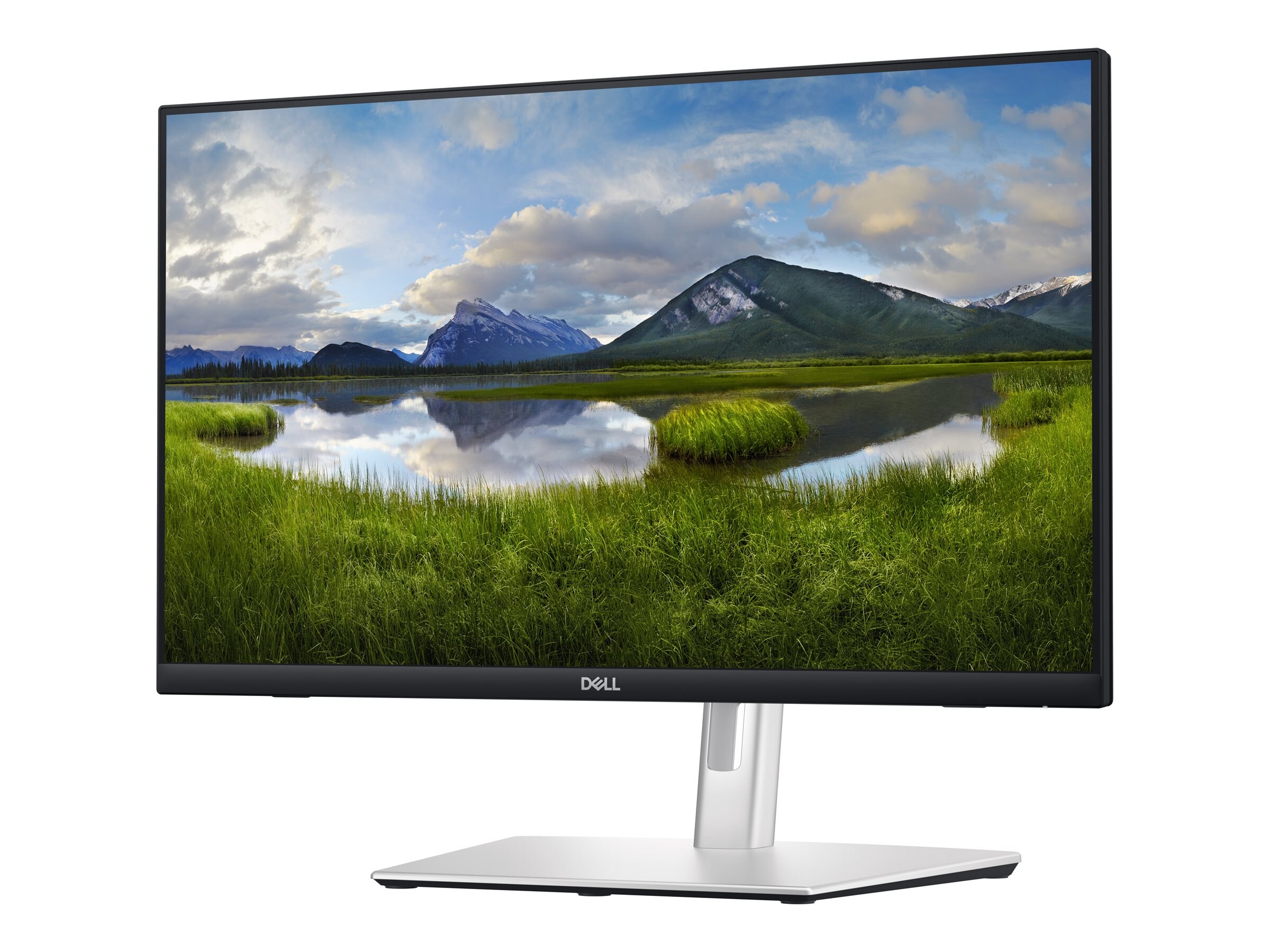 DELL P2424HT 61cm (24") Full HD 16:9 IPS Monitor HDMI/USB/DP