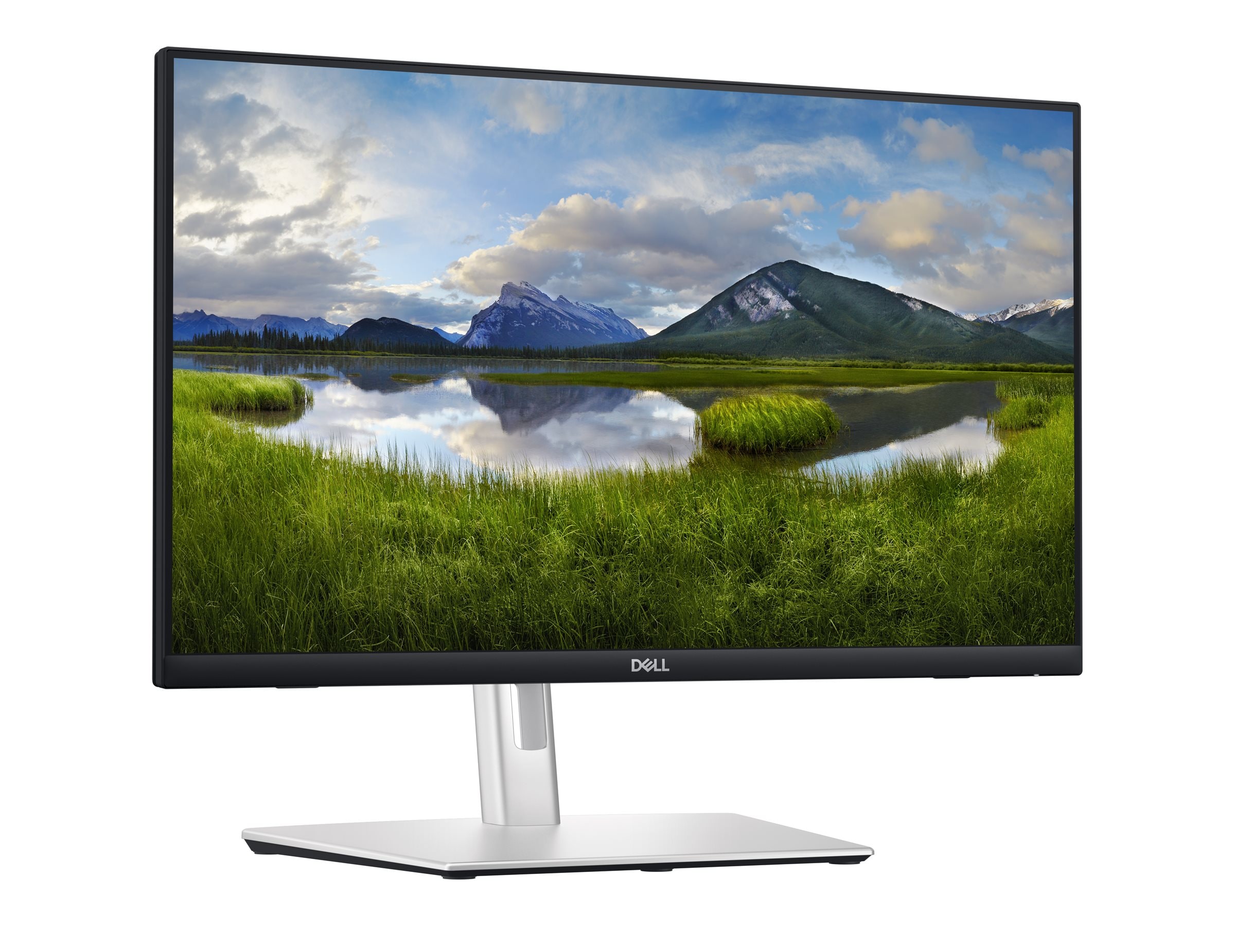 DELL P2424HT 61cm (24") Full HD 16:9 IPS Monitor HDMI/USB/DP