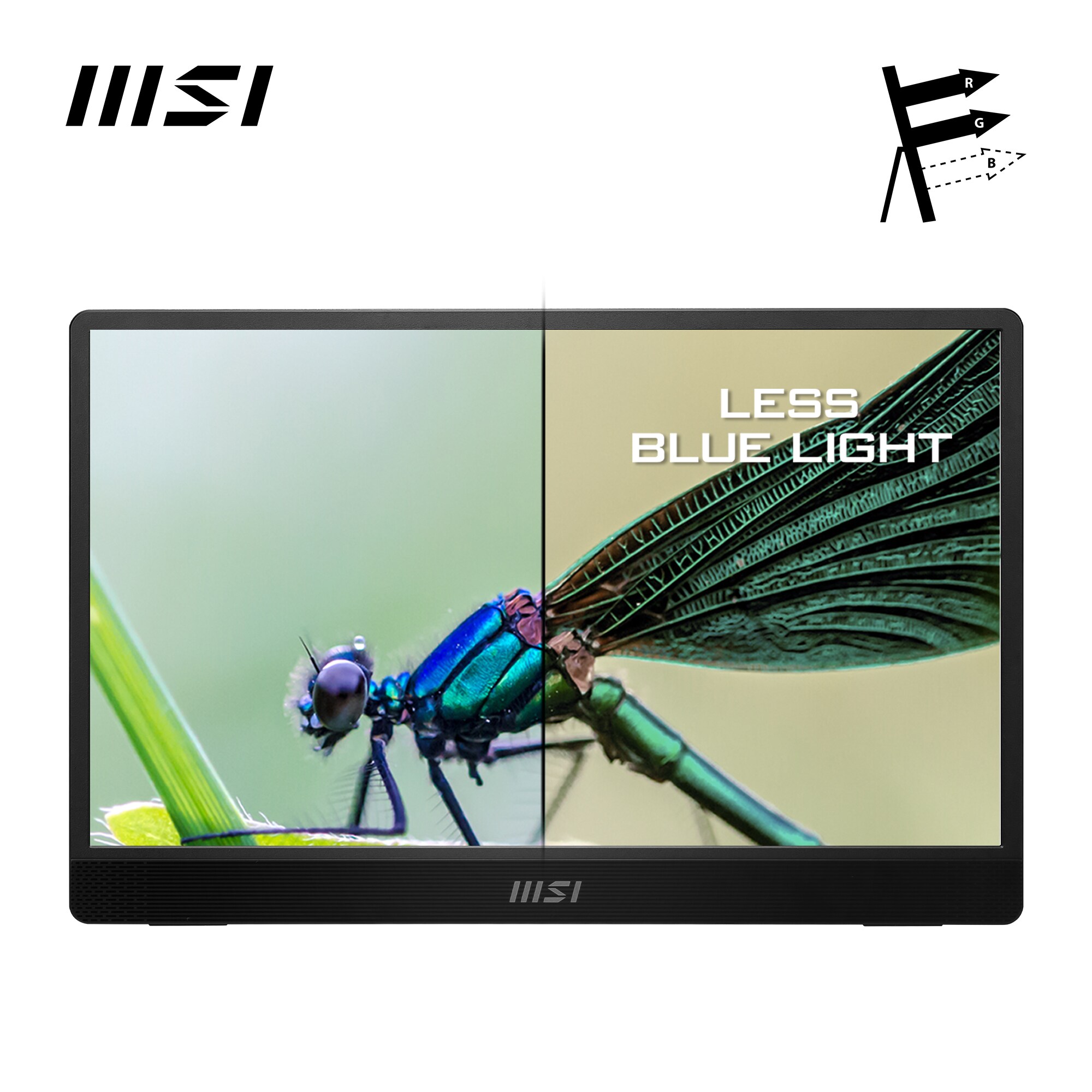 MSI Pro MP161DE E2 39,6cm (15,6") FHD IPS Mobiler Monitor 16:9 HDMI/USB-C (DP)