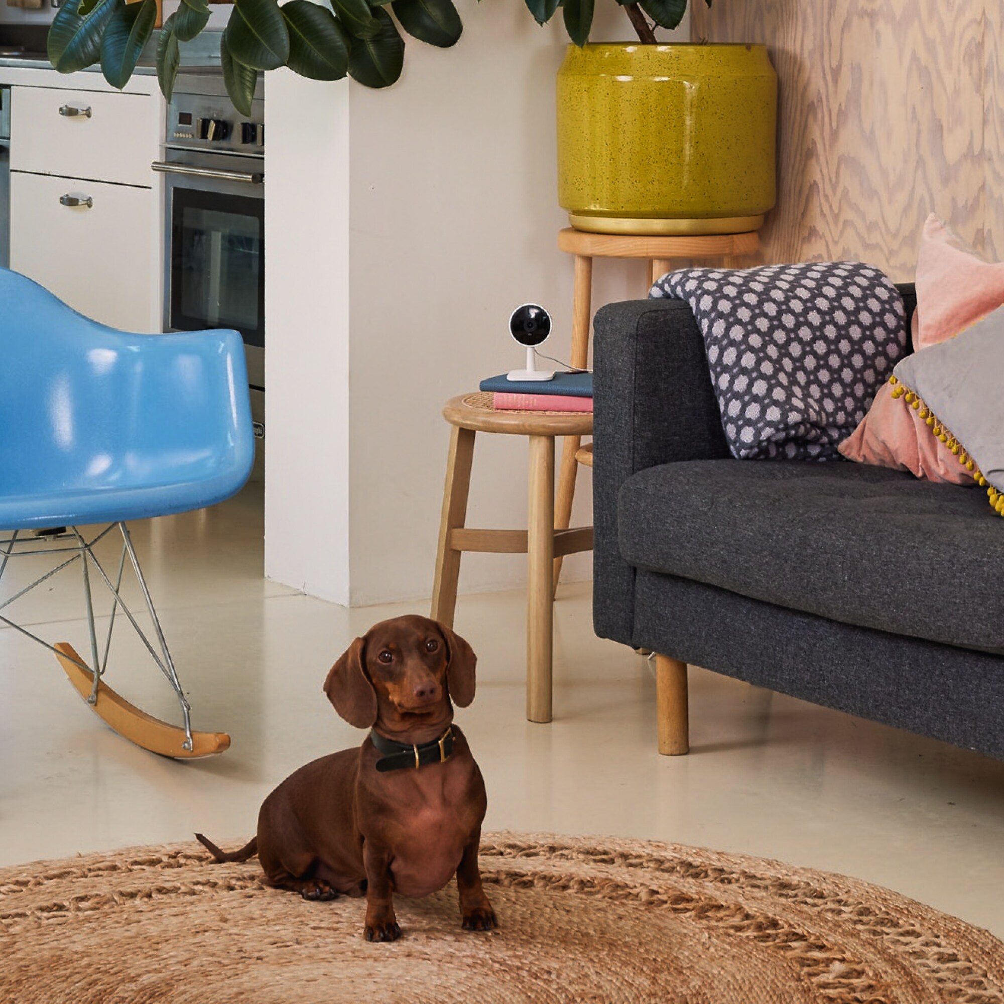 Yale Smart Indoor Camera - Intelligente WLAN Innen-Überwachungskamera