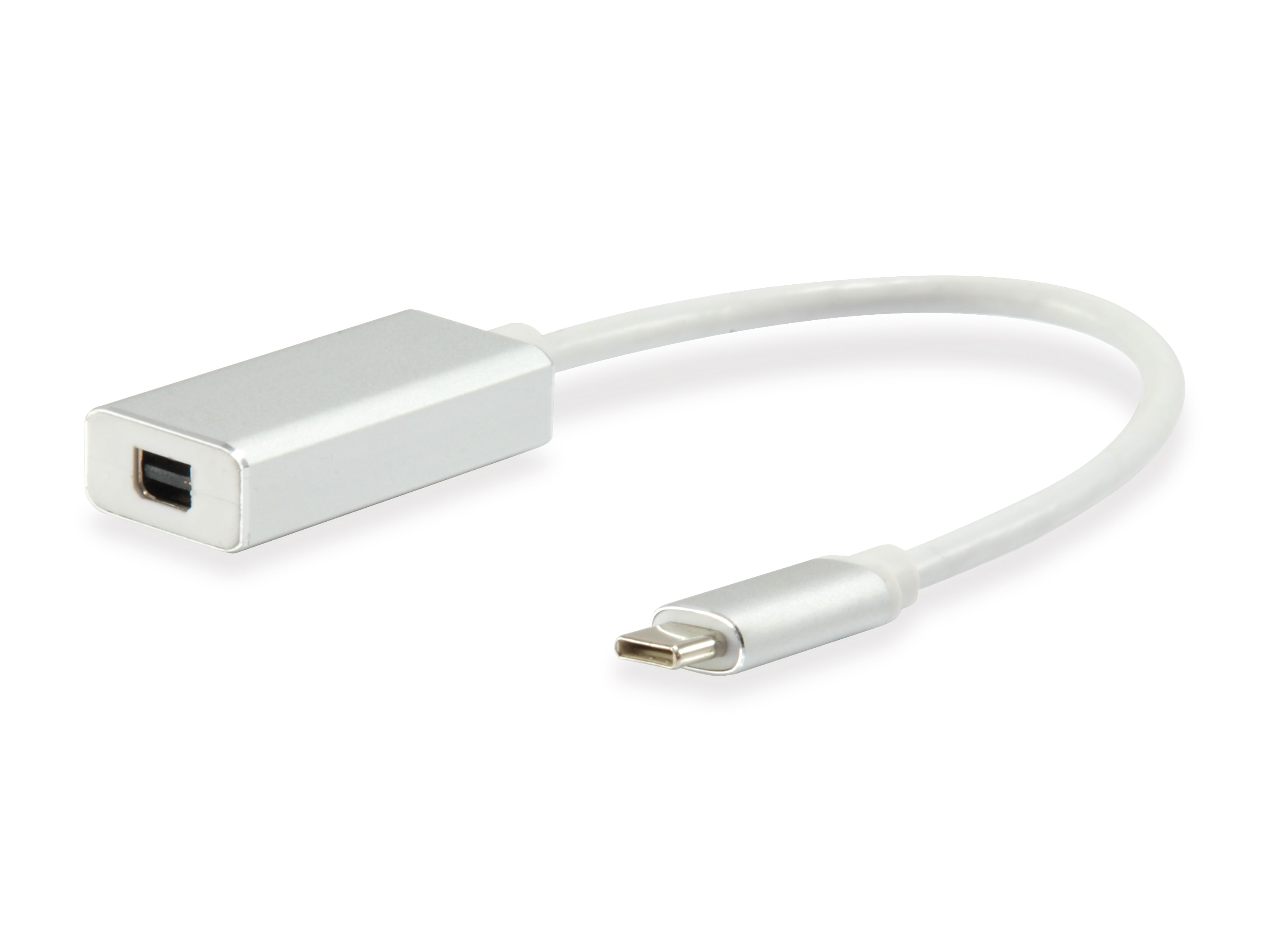 EQUIP 133457 USB-C auf Mini DisplayPort Adapter