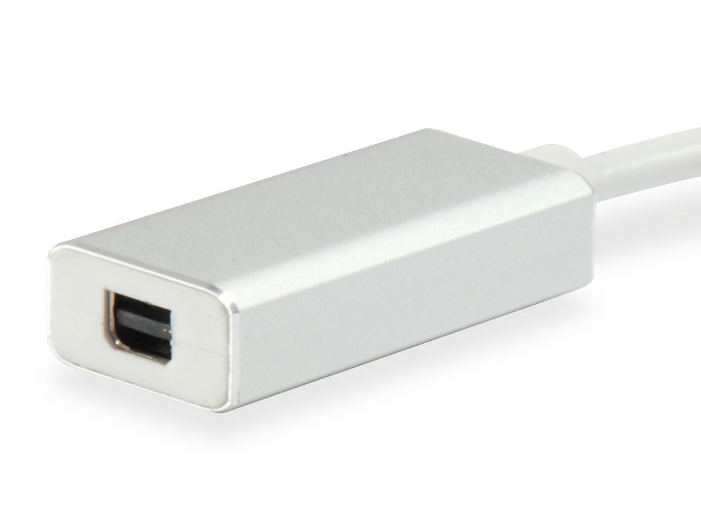 EQUIP 133457 USB-C auf Mini DisplayPort Adapter