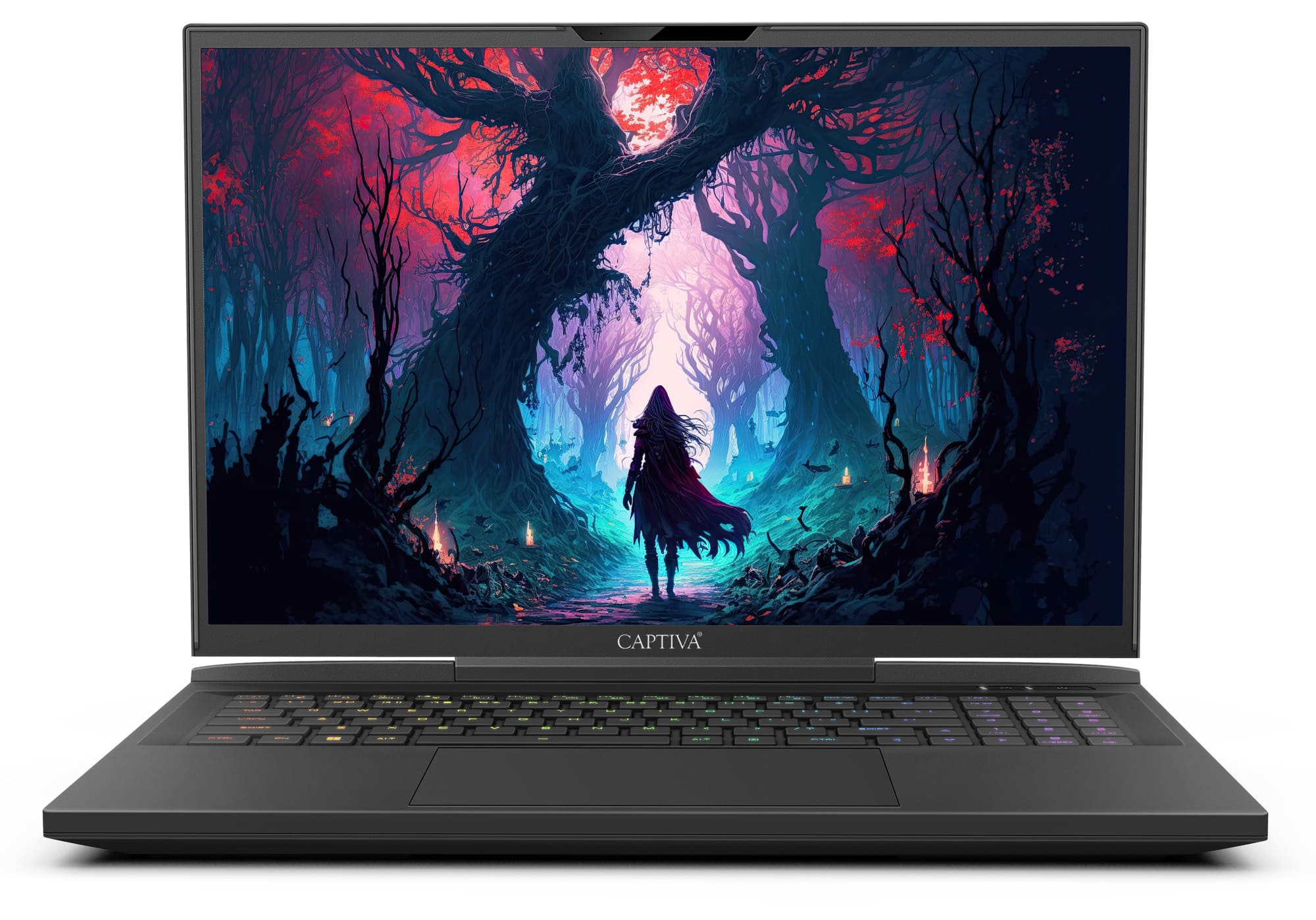 Captiva Highend Gaming I81-498 i9-14900HX 16GB/1TB SSD 17"FHD RTX4080 W11