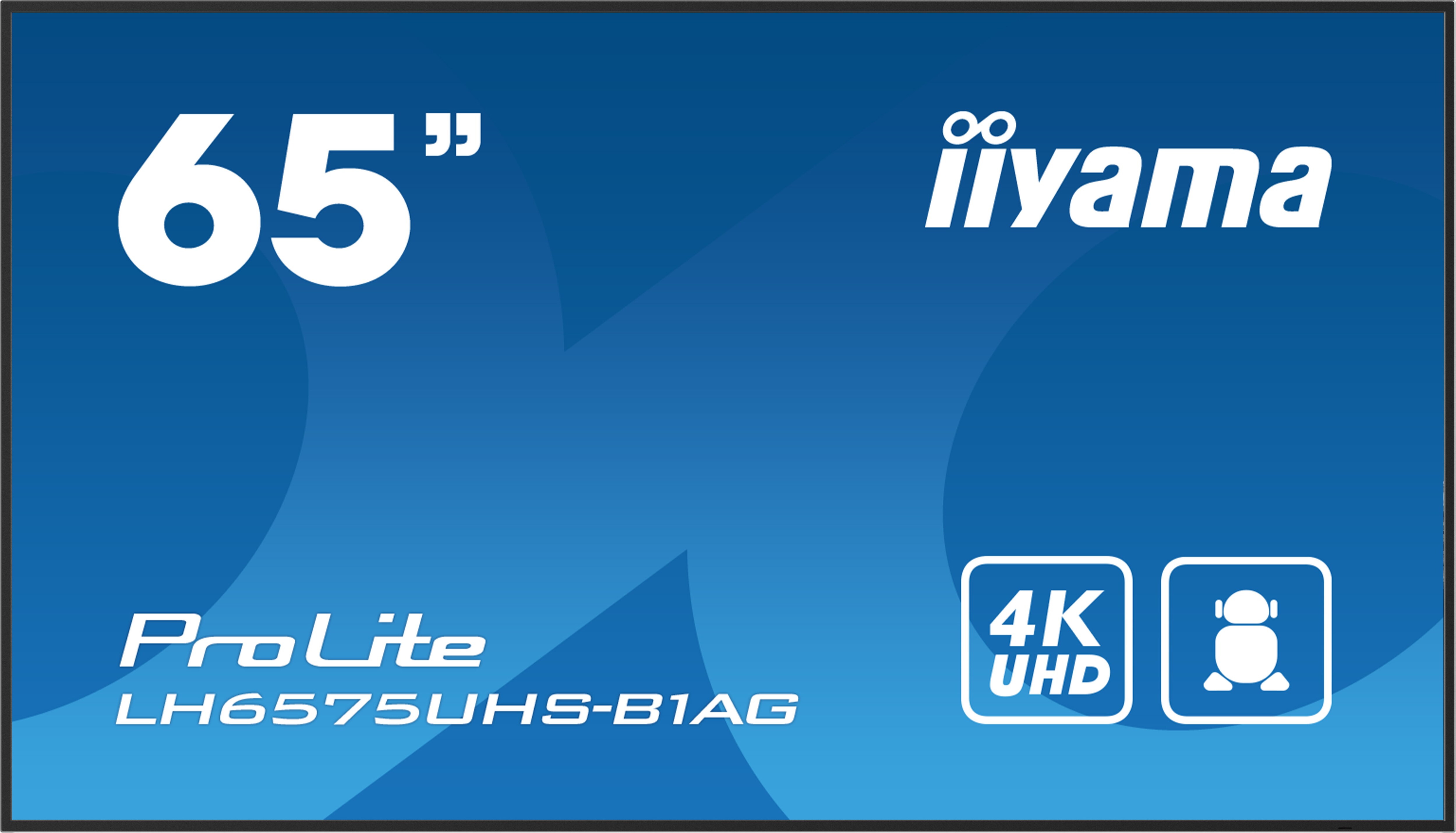 iiyama ProLite LH6575UHS-B1AG 163,8cm (64,5") 4K UHD Monitor LED HDMI/DP