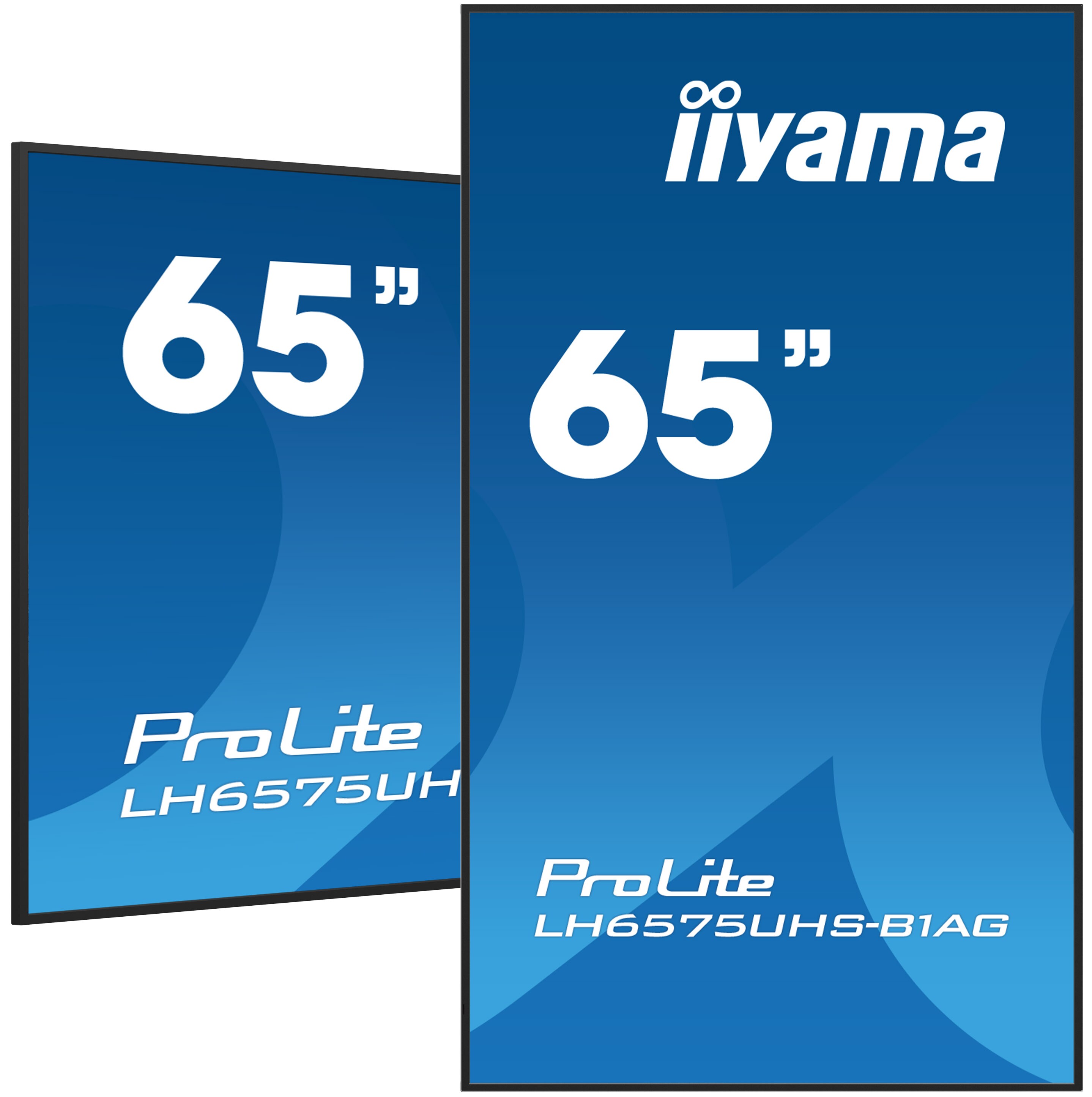 iiyama ProLite LH6575UHS-B1AG 163,8cm (64,5") 4K UHD Monitor LED HDMI/DP