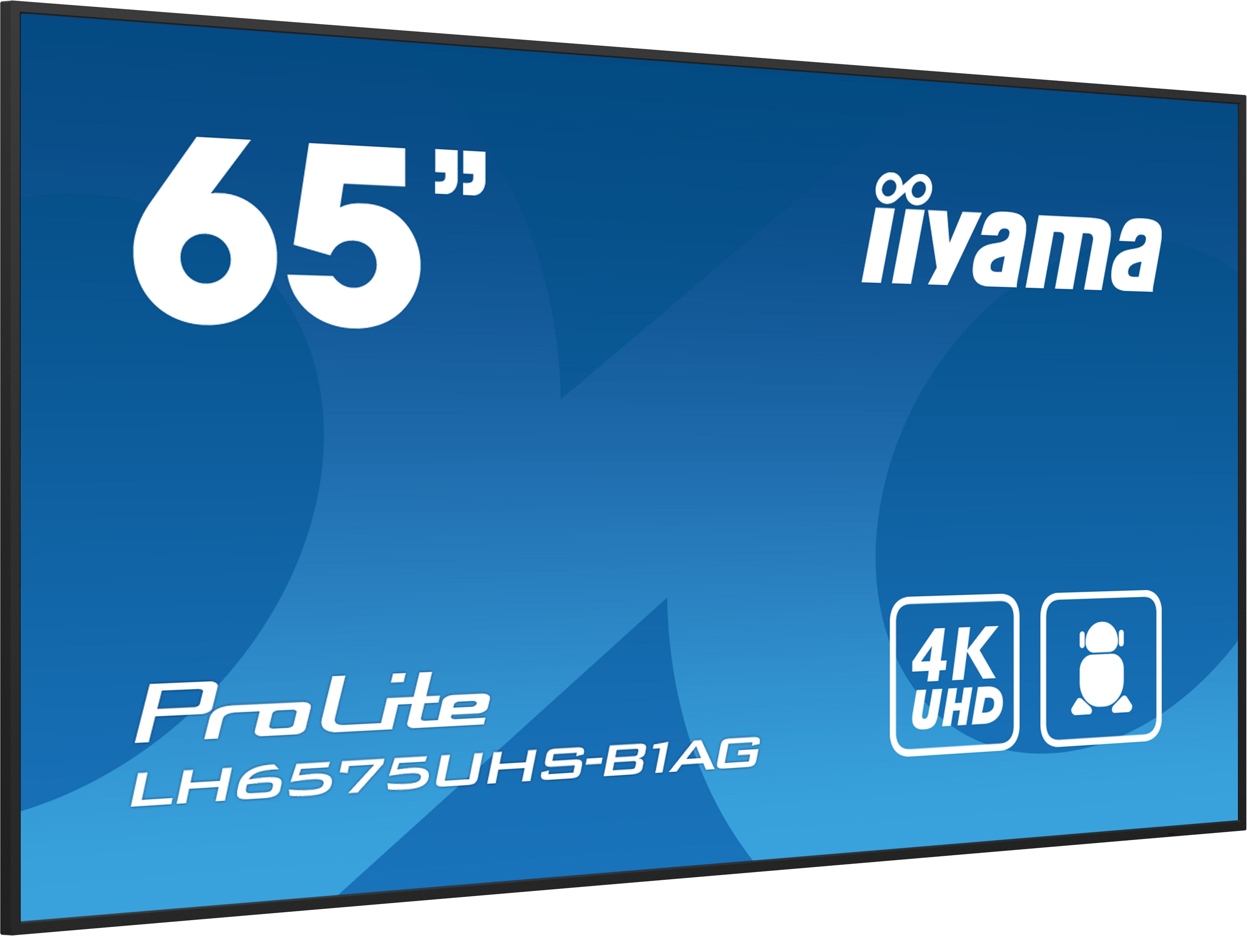 iiyama ProLite LH6575UHS-B1AG 163,8cm (64,5") 4K UHD Monitor LED HDMI/DP