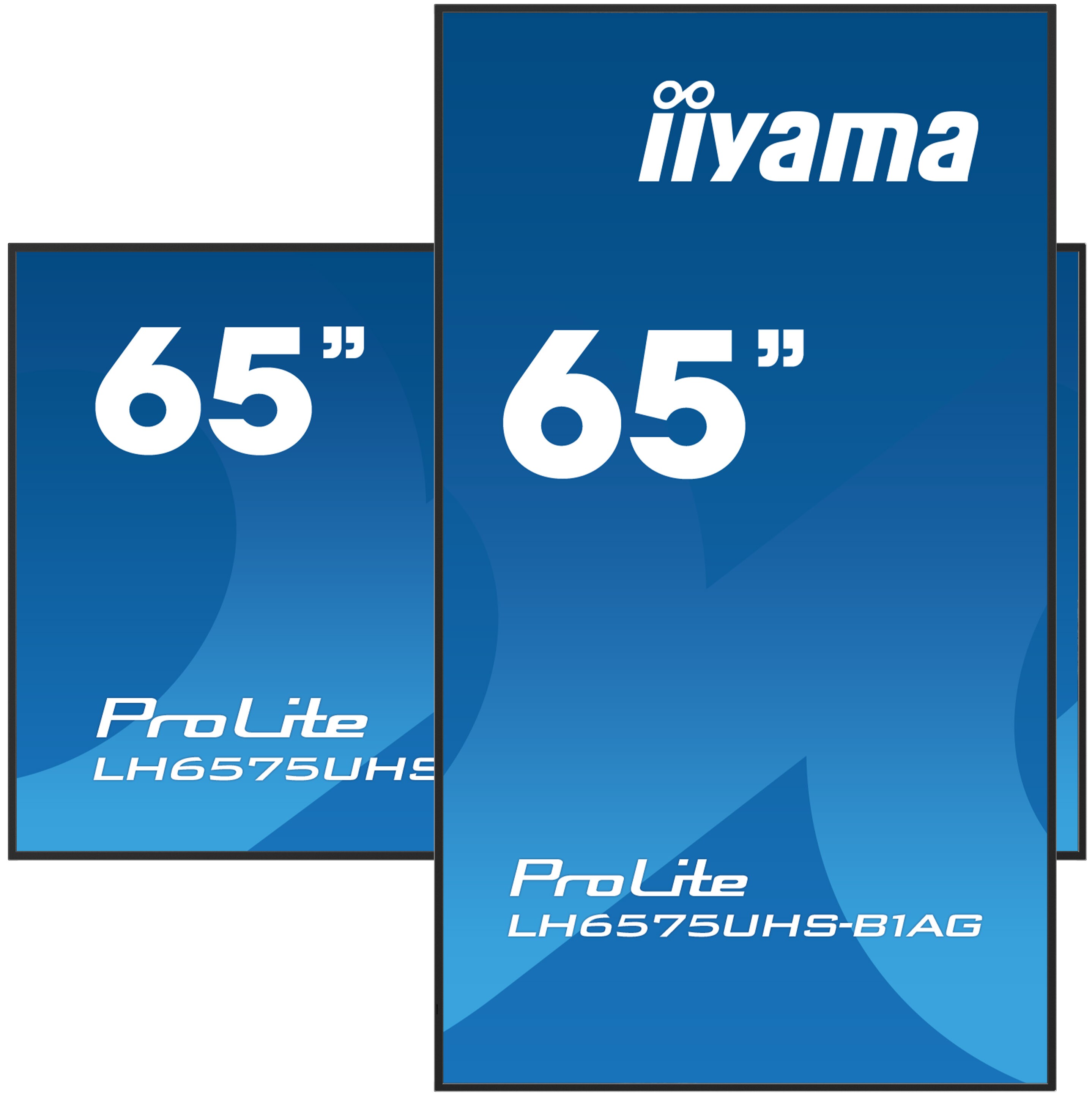 iiyama ProLite LH6575UHS-B1AG 163,8cm (64,5") 4K UHD Monitor LED HDMI/DP