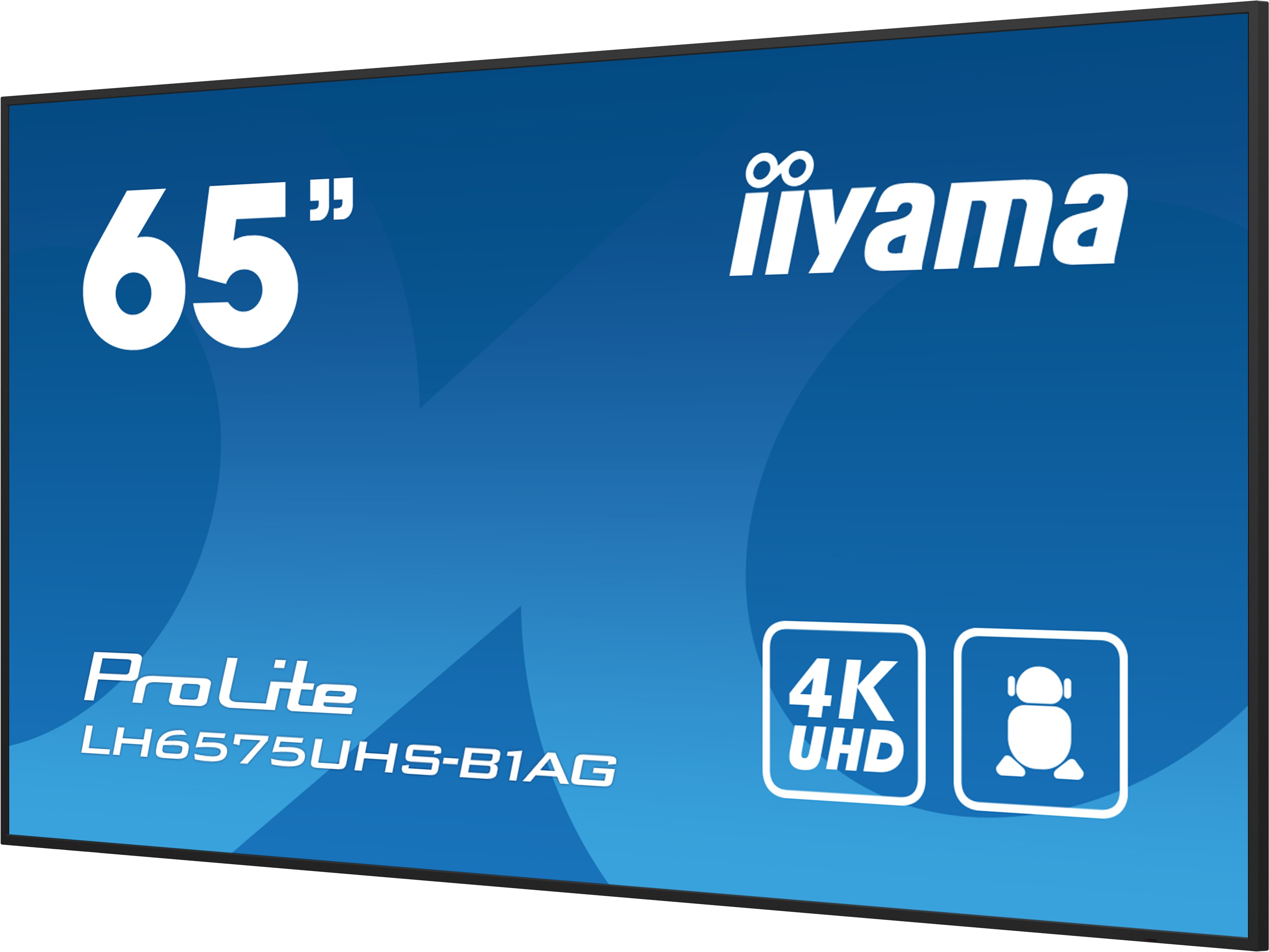 iiyama ProLite LH6575UHS-B1AG 163,8cm (64,5") 4K UHD Monitor LED HDMI/DP