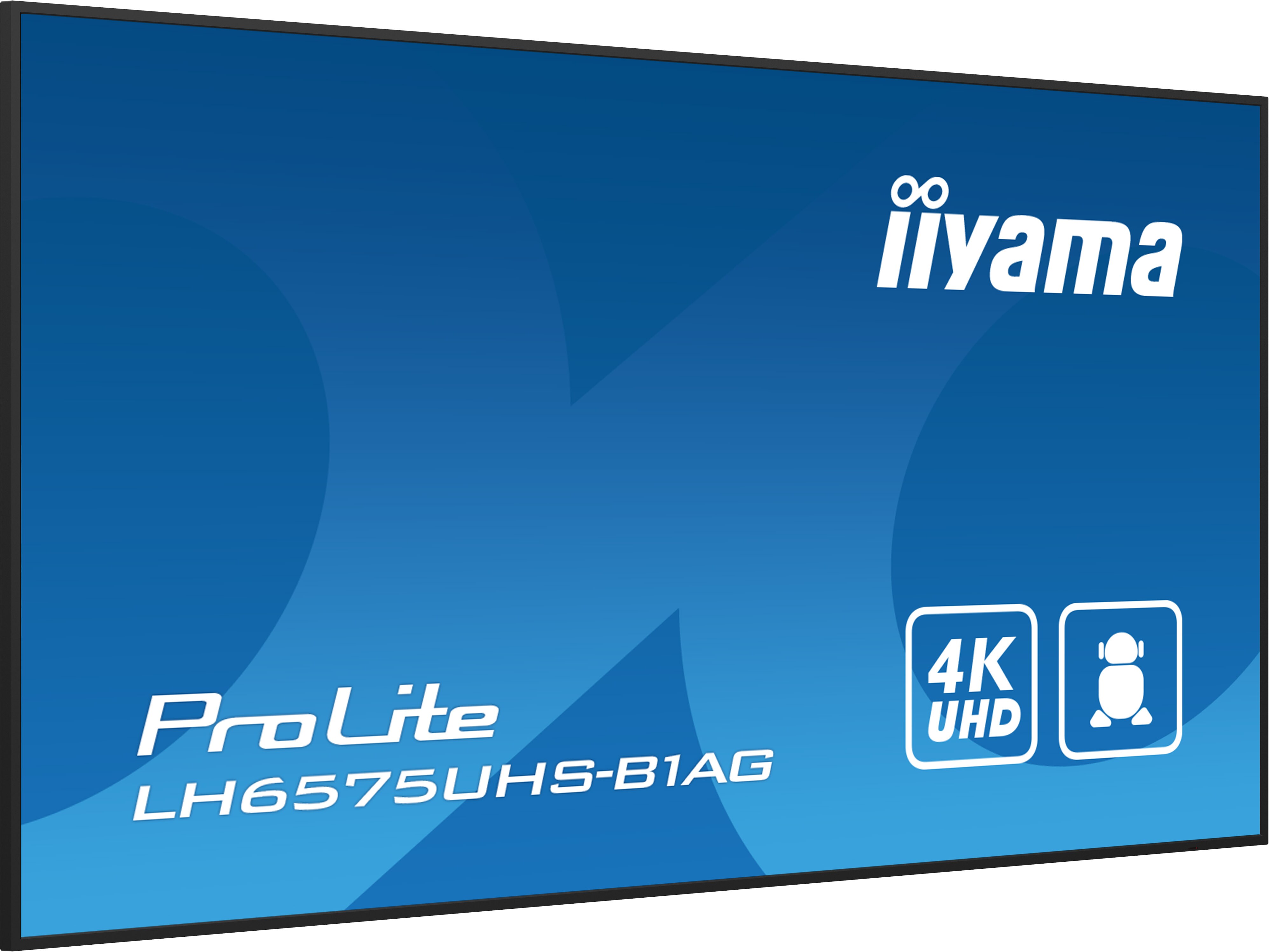 iiyama ProLite LH6575UHS-B1AG 163,8cm (64,5") 4K UHD Monitor LED HDMI/DP