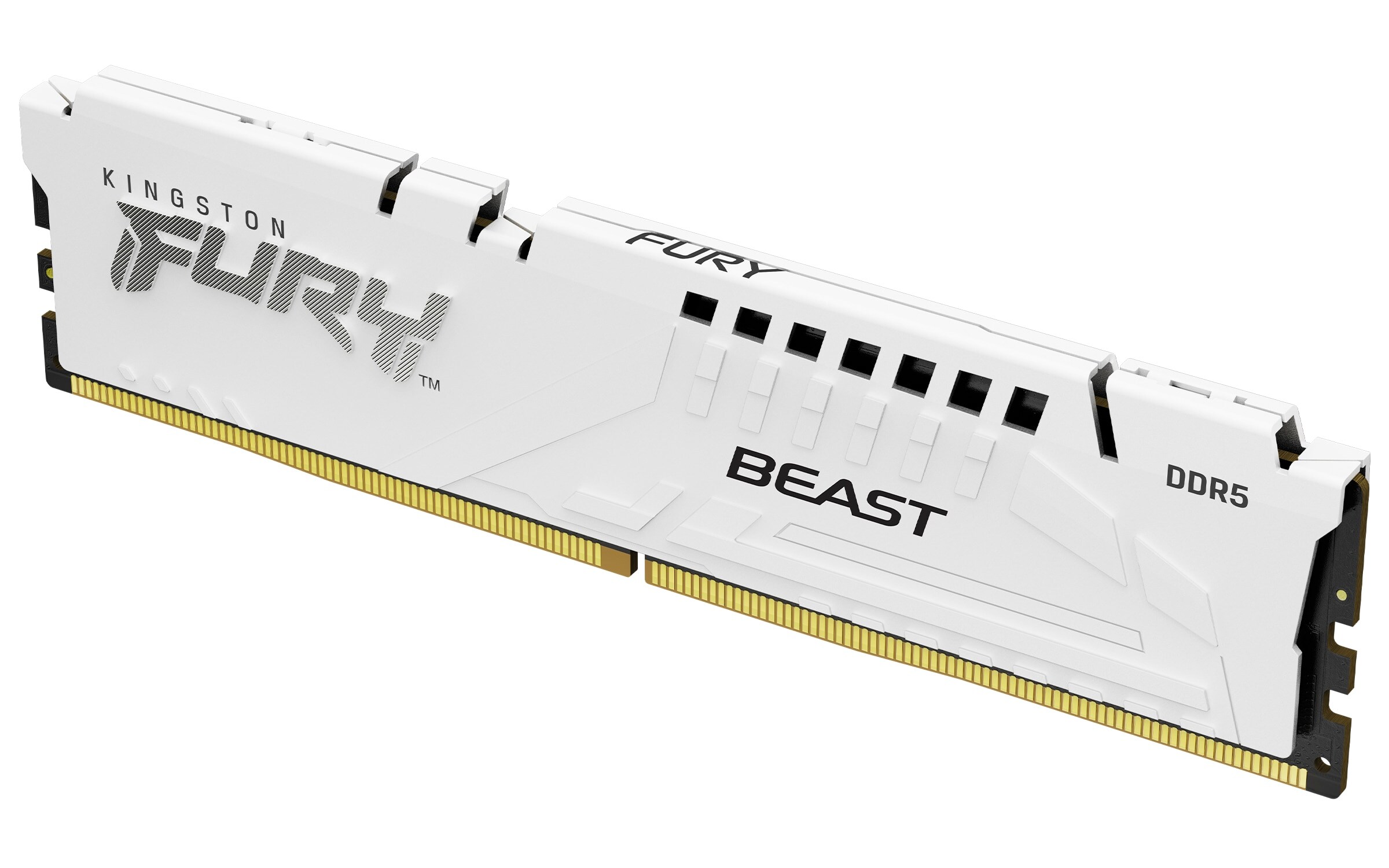 32GB (2x16GB) KINGSTON FURY Beast DDR5-6800 CL34 RAM Gaming Arbeitsspeicher