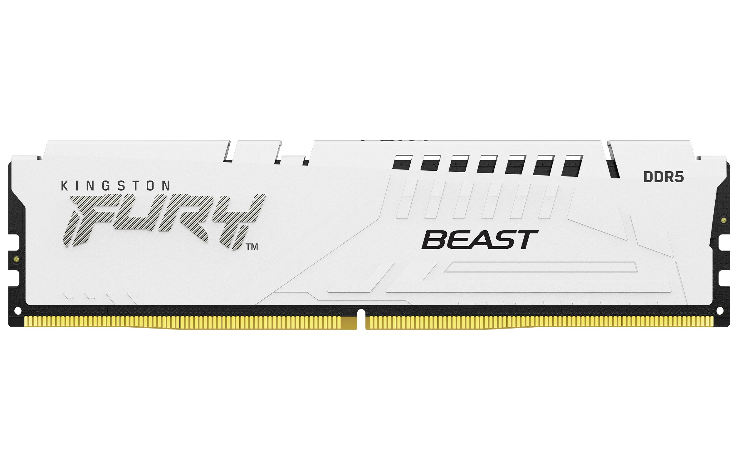 32GB (2x16GB) KINGSTON FURY Beast DDR5-6800 CL34 RAM Gaming Arbeitsspeicher