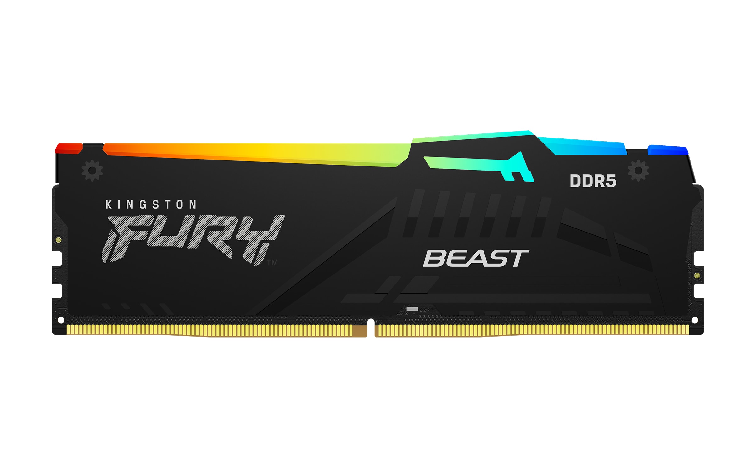 16GB (1x16GB) KINGSTON FURY Beast RGB DDR5-6000 CL30 RAM Gaming Arbeitsspeicher