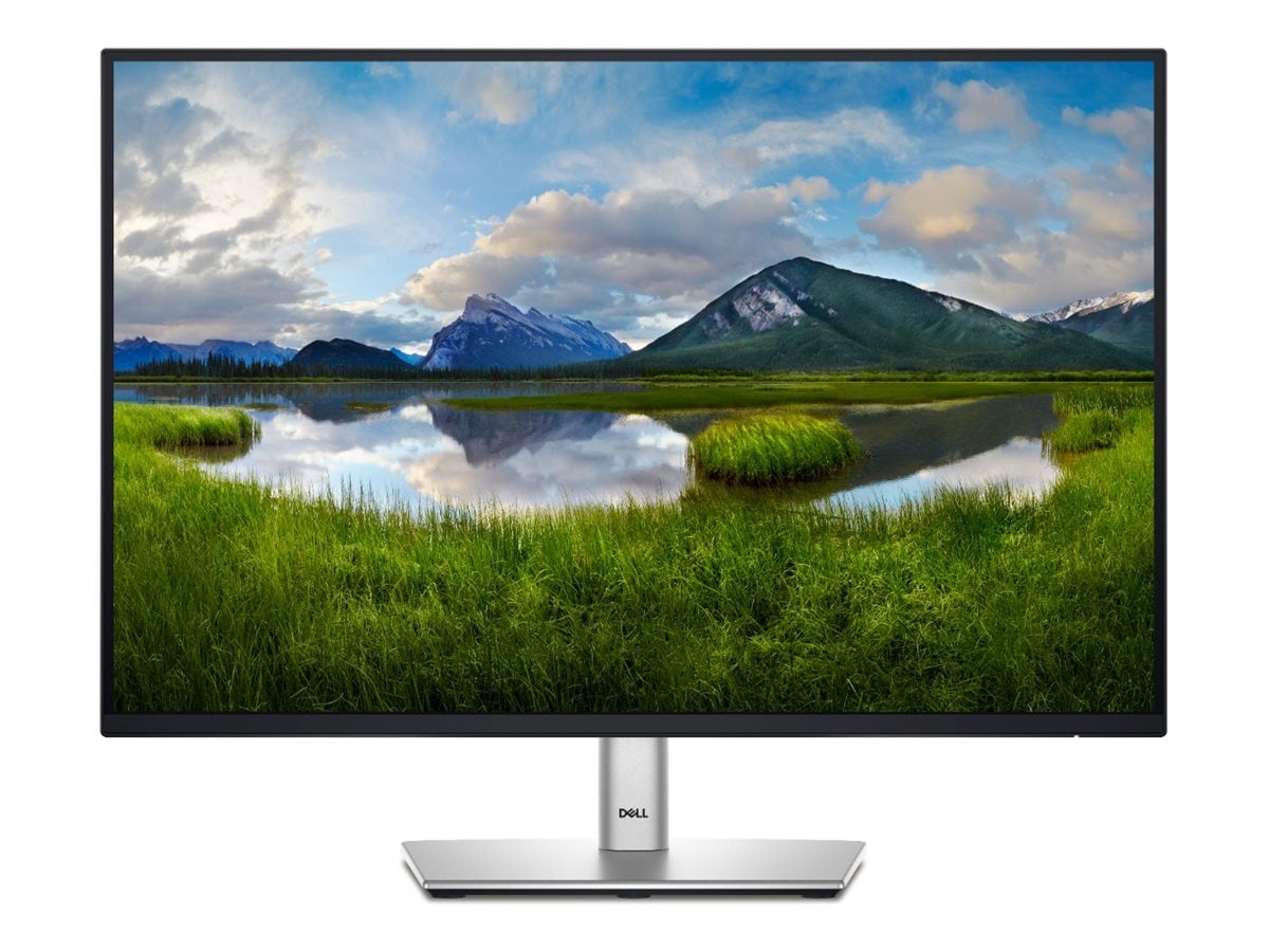 Dell P2425 61,1cm (24") WUXGA IPS Office-Monitor HDMI/DP/USB-C Pivot