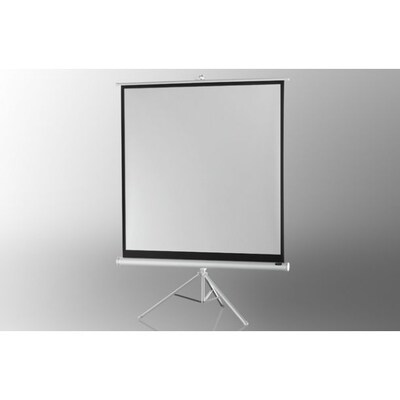 CM 33 günstig Kaufen-celexon Stativleinwand Economy 133 x 133 cm - White Edition. celexon Stativleinwand Economy 133 x 133 cm - White Edition <![CDATA[• Stativleinwand Economy • 133 x 133]]>. 