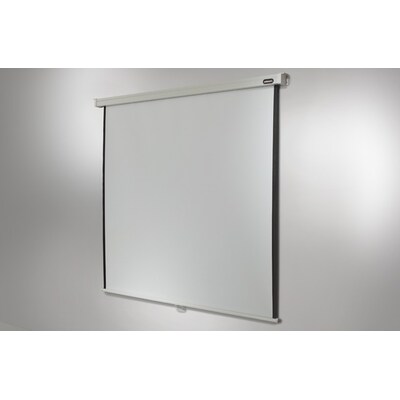 Celexon  Leinwand Rollo Professional 200 x 200 cm | 04260094730474