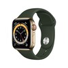 Apple Watch Series 6 LTE 40mm Edelstahlgehäuse Gold Sportarmband Zyperngrün