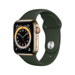Apple Watch Series 6 LTE 40mm Edelstahlgeh&auml;use Gold Sportarmband Zyperngr&uuml;n
